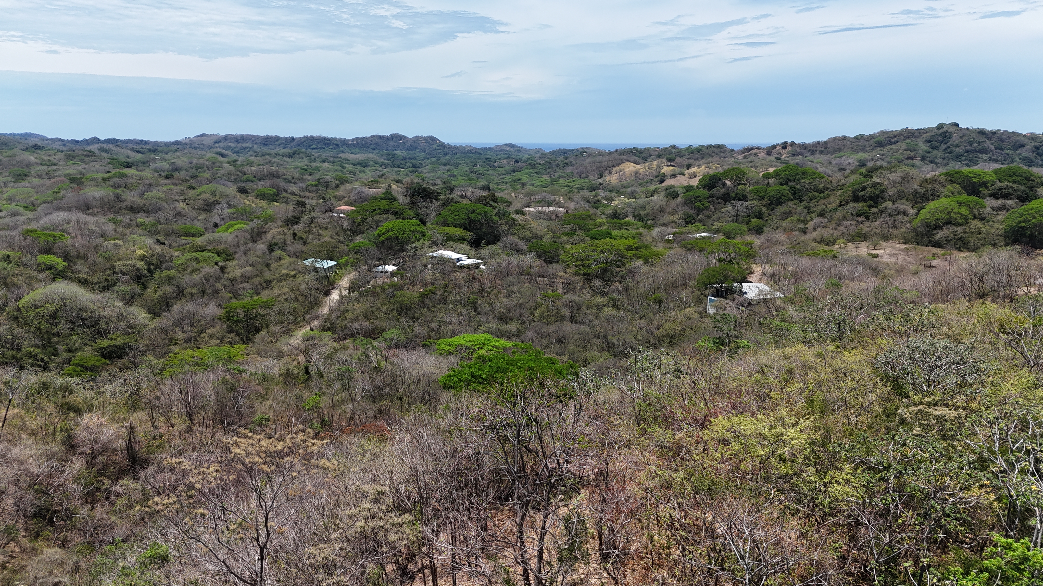 Nosara