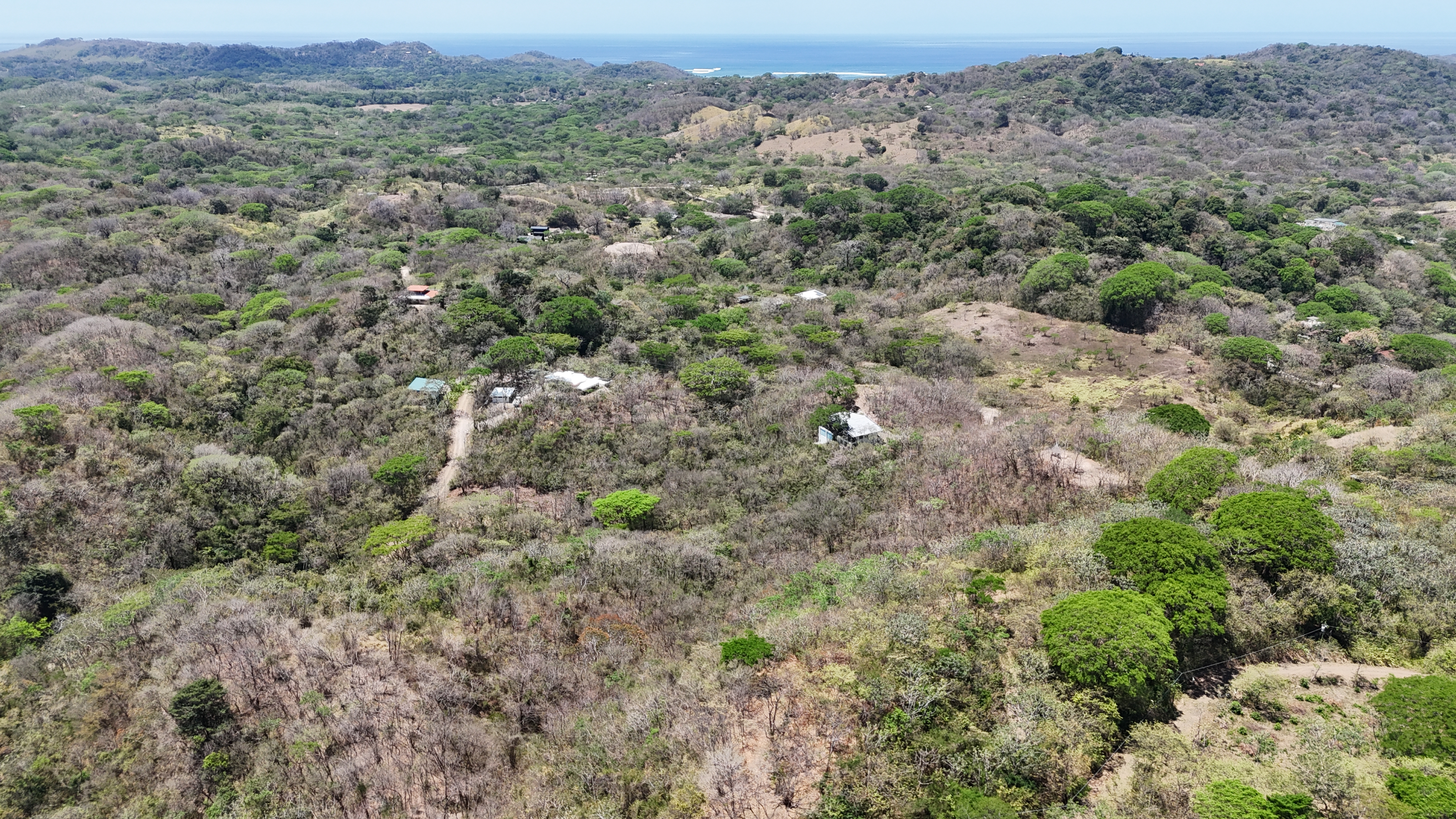 Nosara