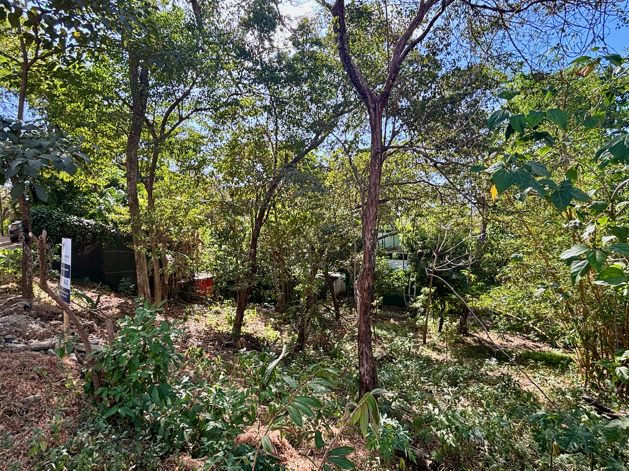 Nosara