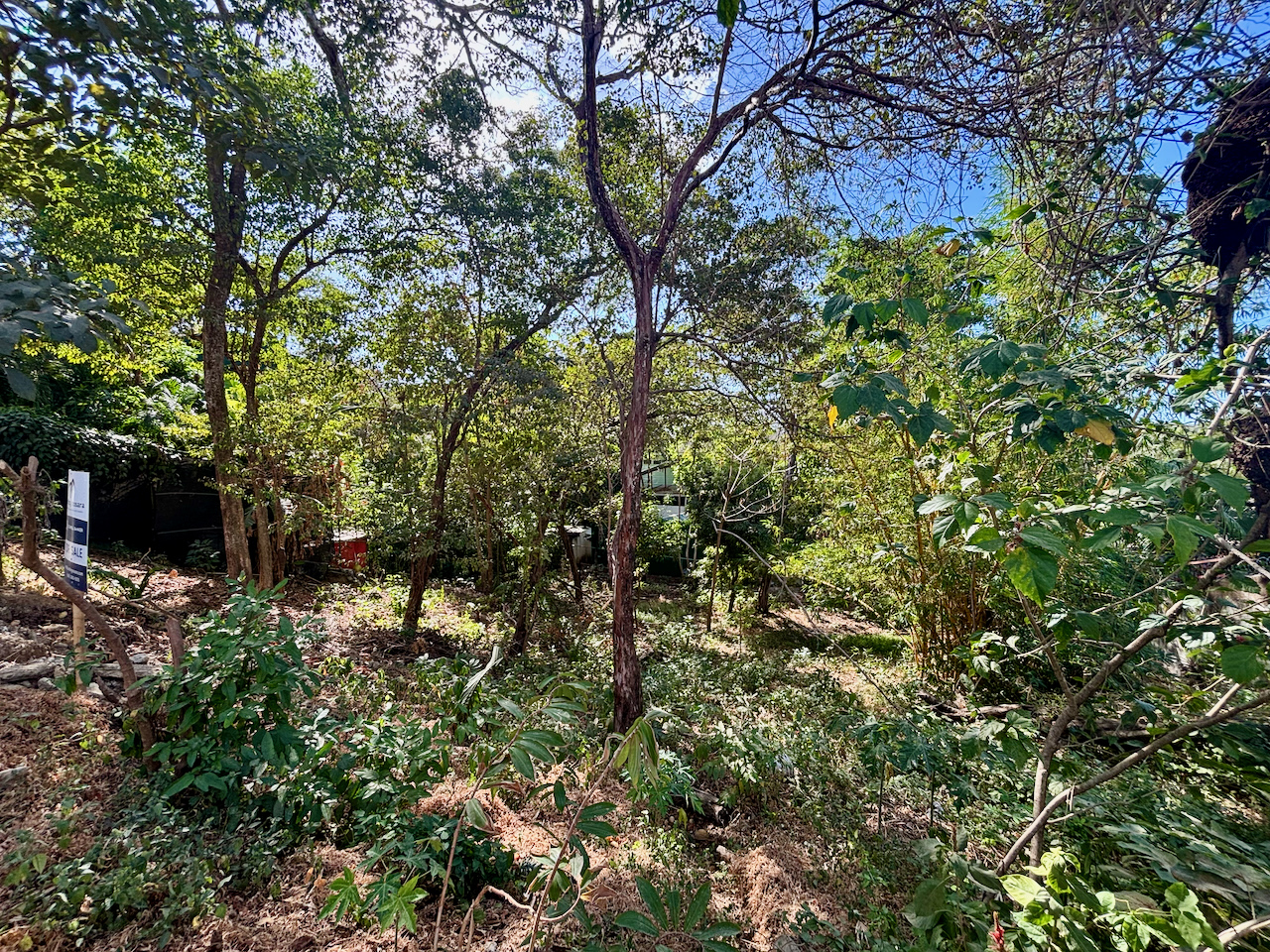 Nosara