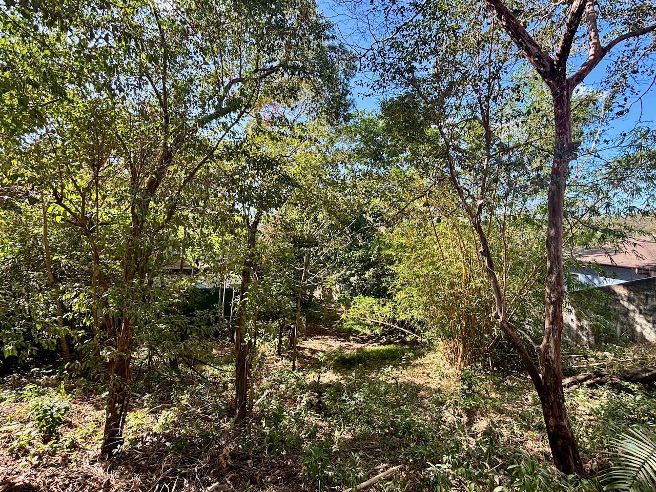 Nosara