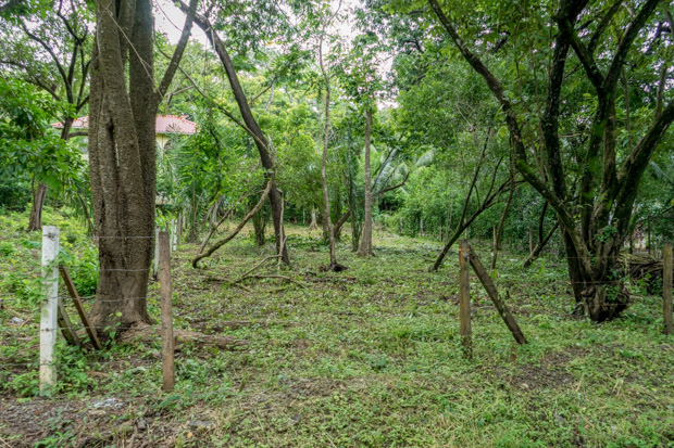 Nosara