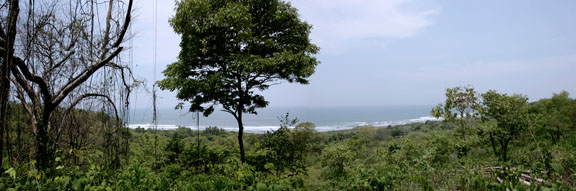 Nosara