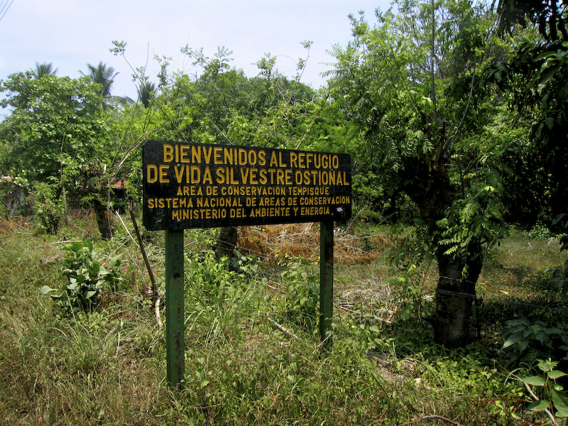 Nosara