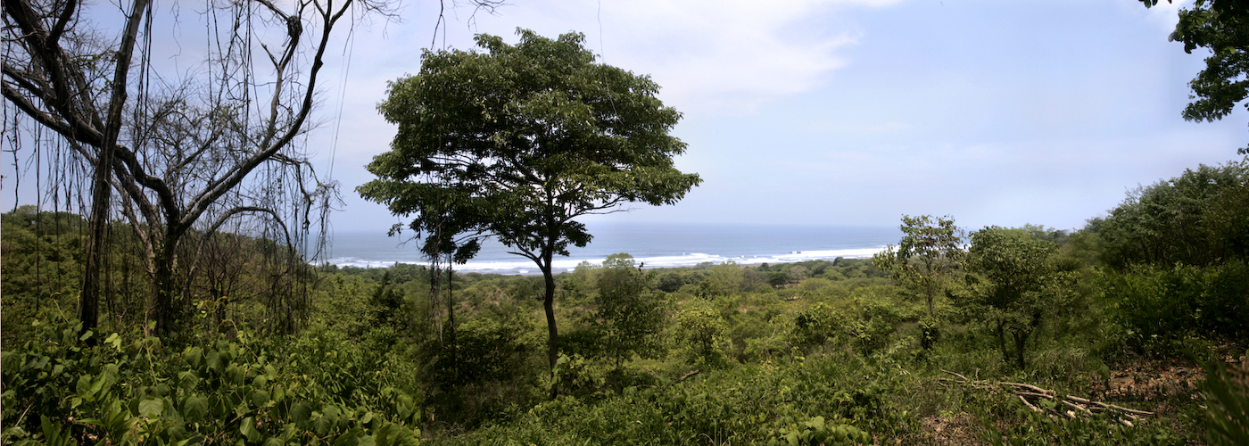 Nosara
