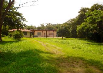 Nosara