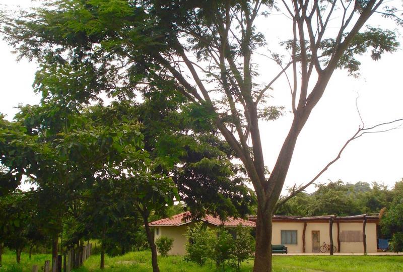 Nosara