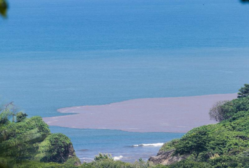 Nosara