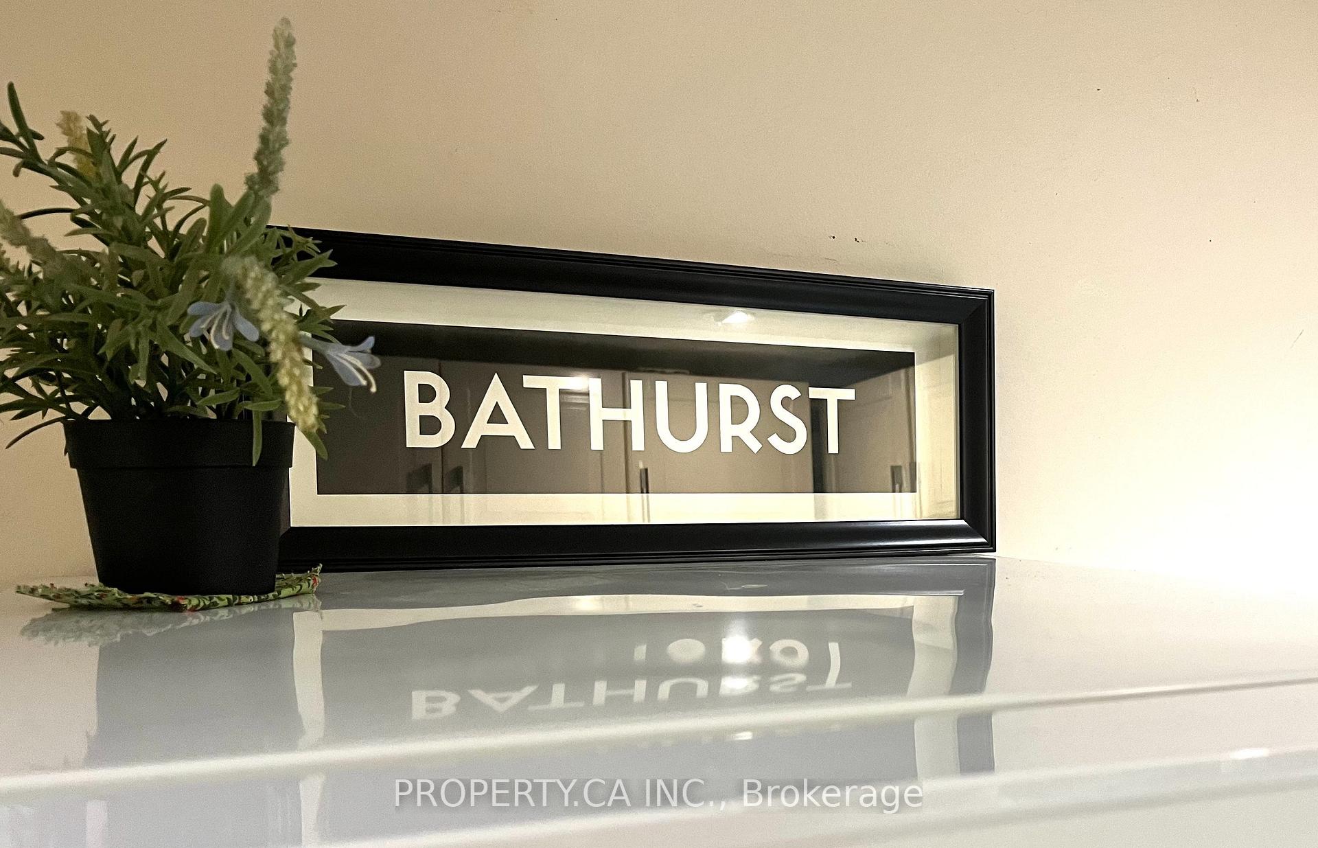 234 Bathurst Street BSMNT