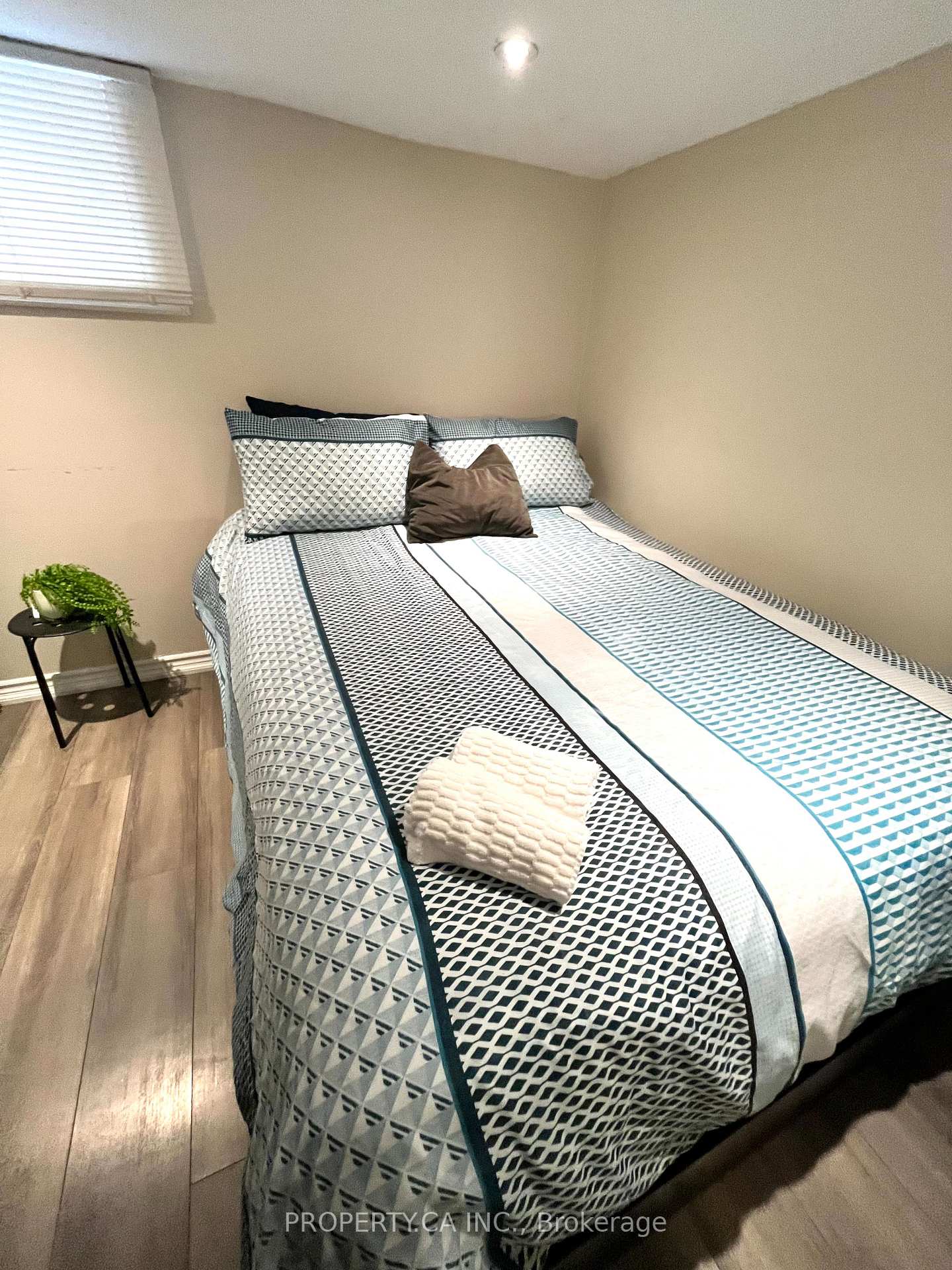 234 Bathurst Street BSMNT