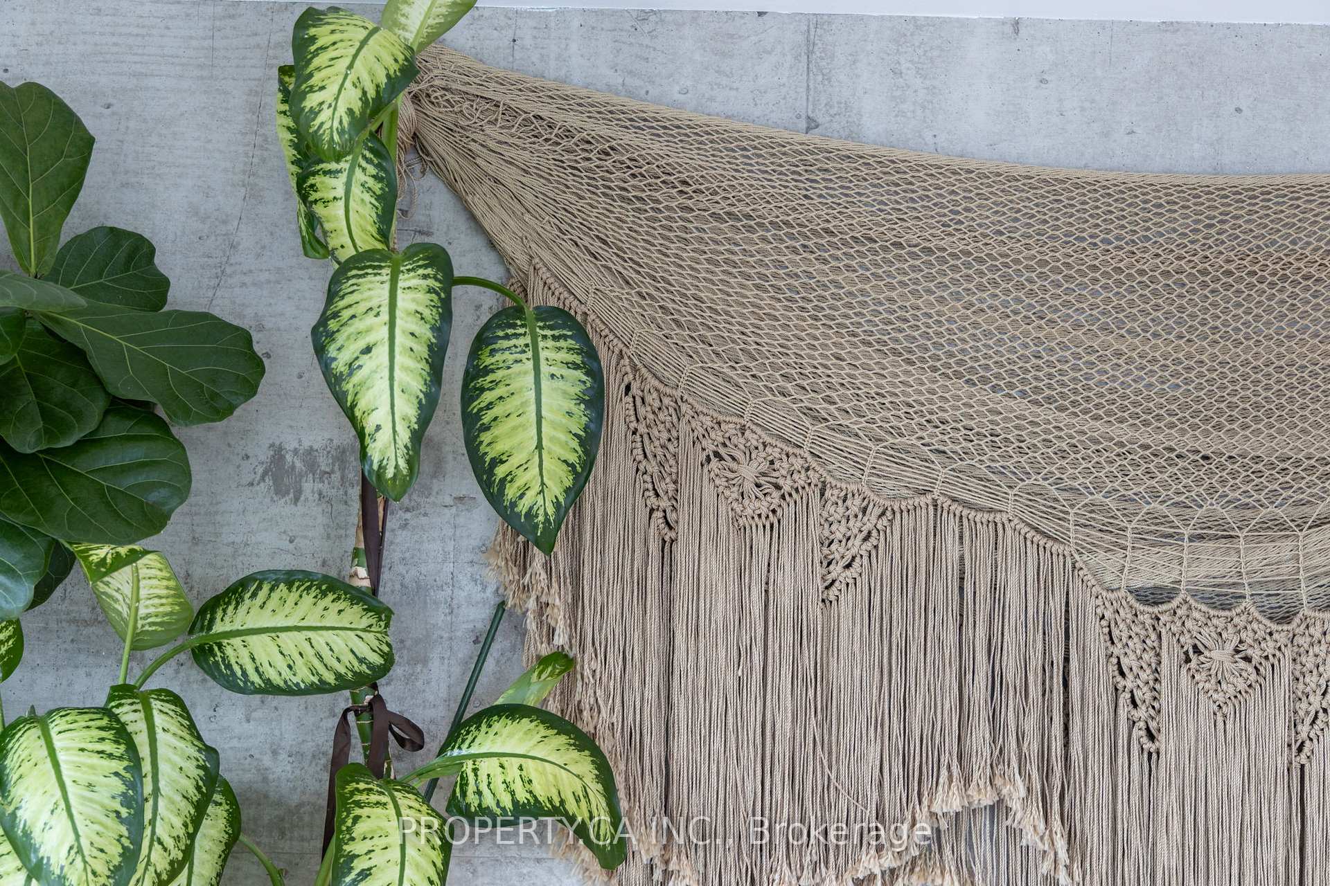 224 King Street W 1904