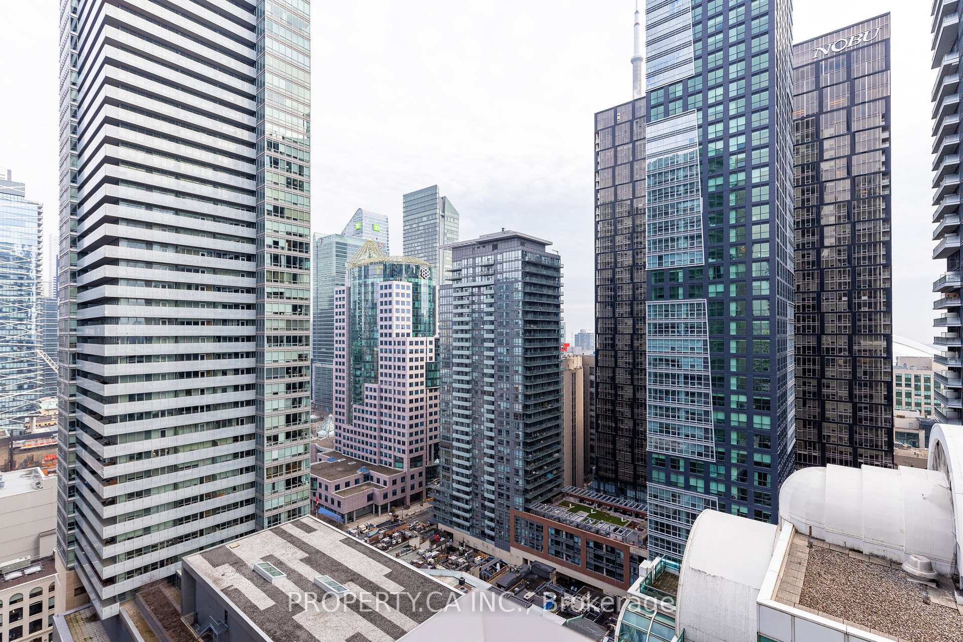 8 Widmer Street 2709