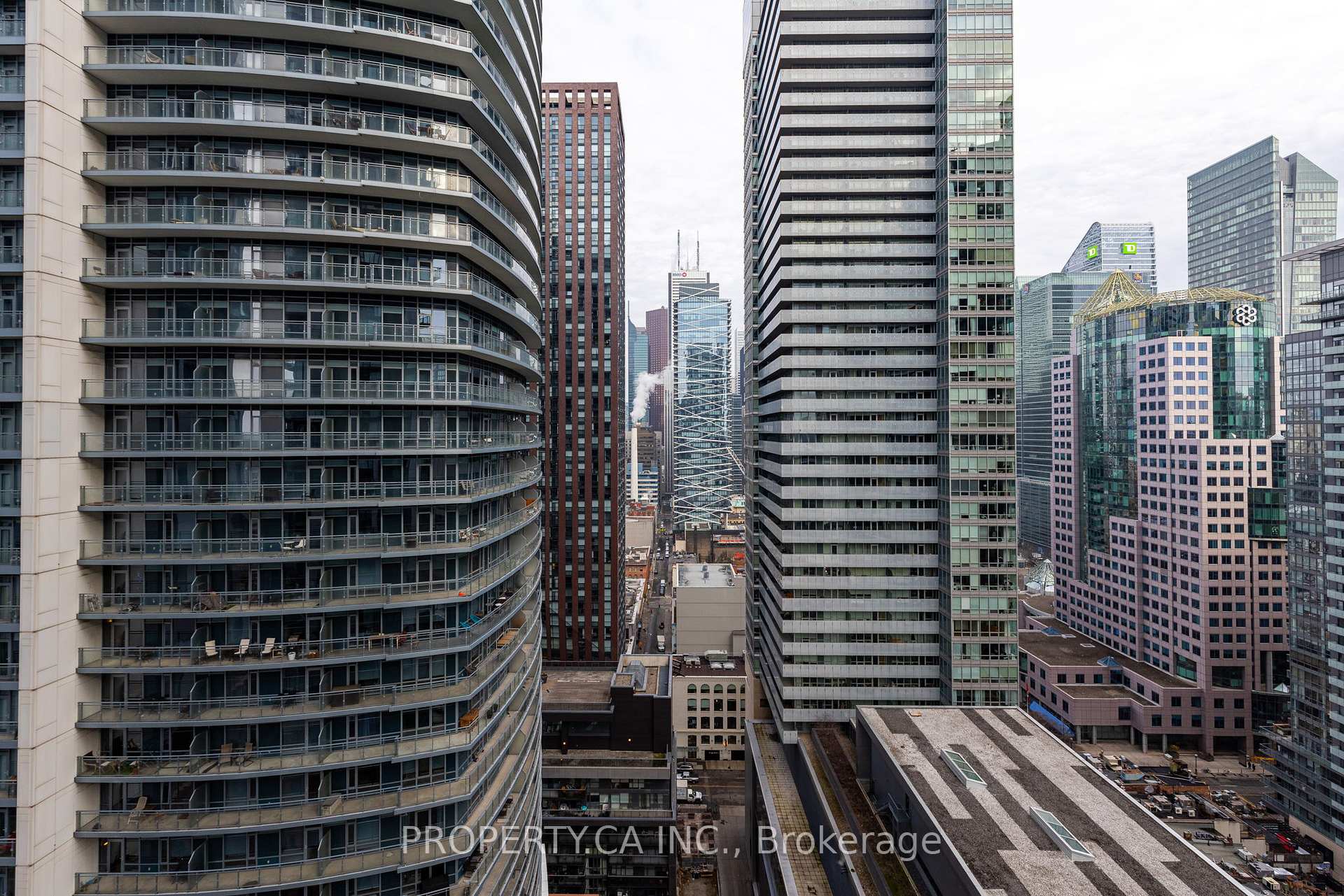 8 Widmer Street 2709