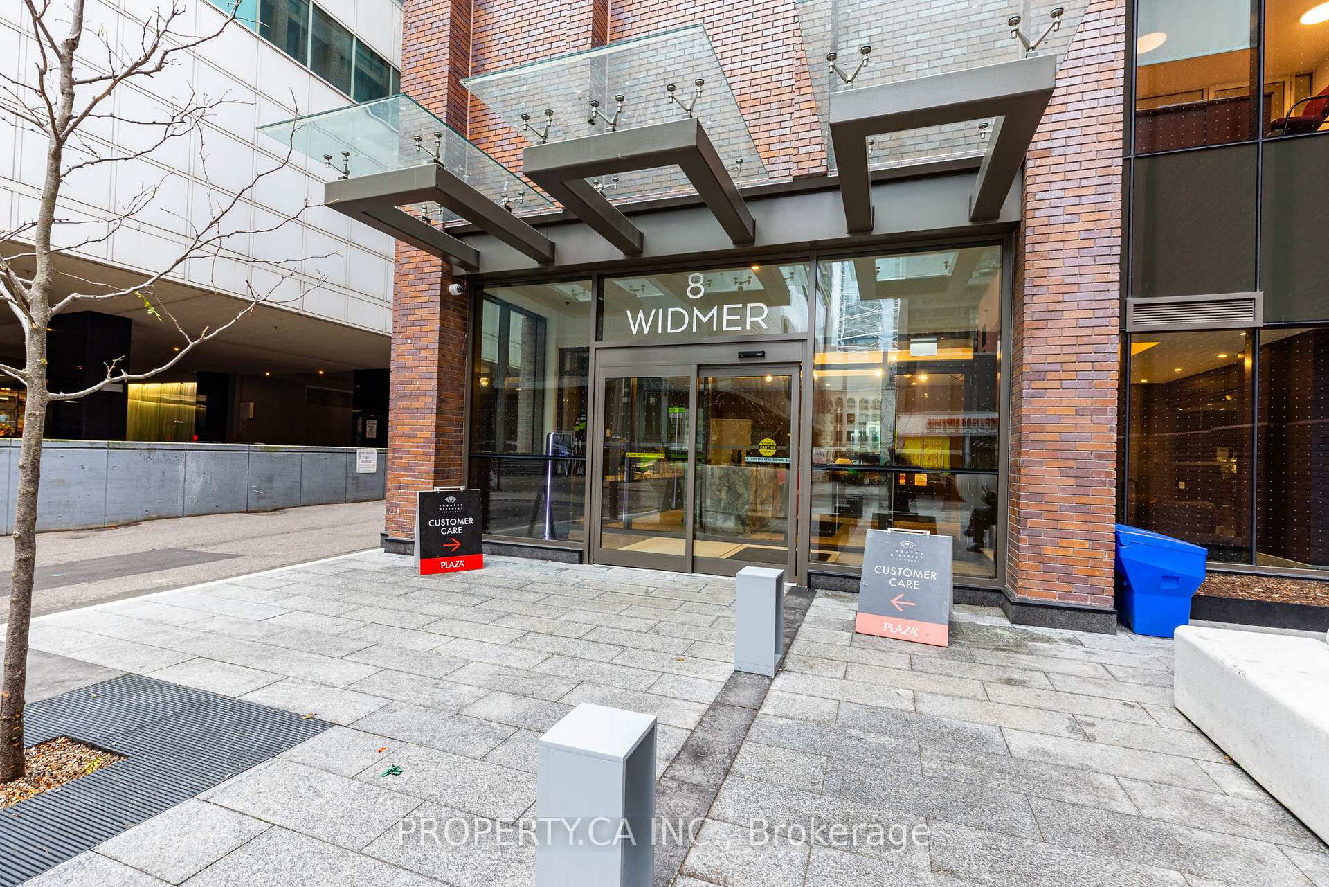 8 Widmer Street 2709