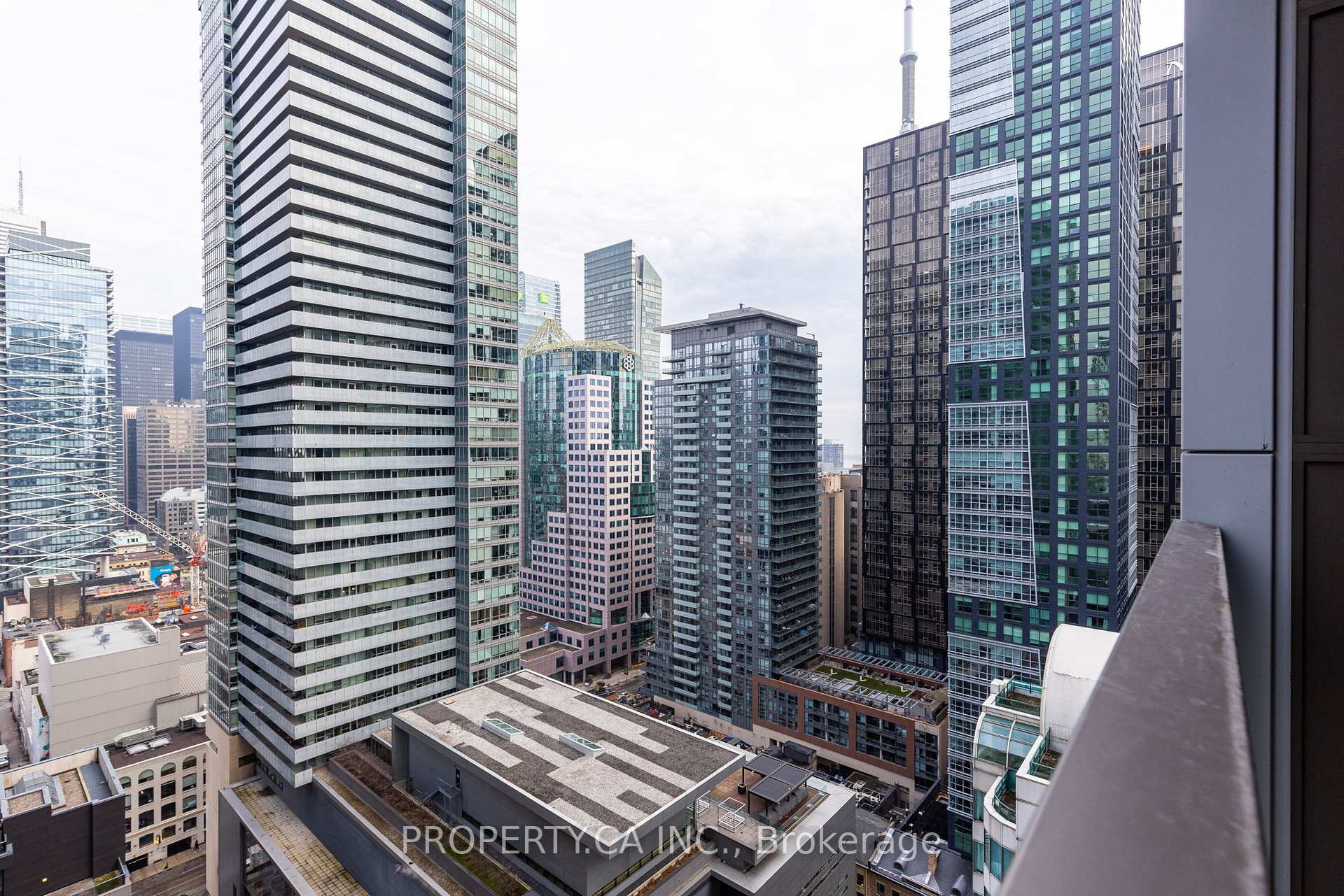 8 Widmer Street 2709