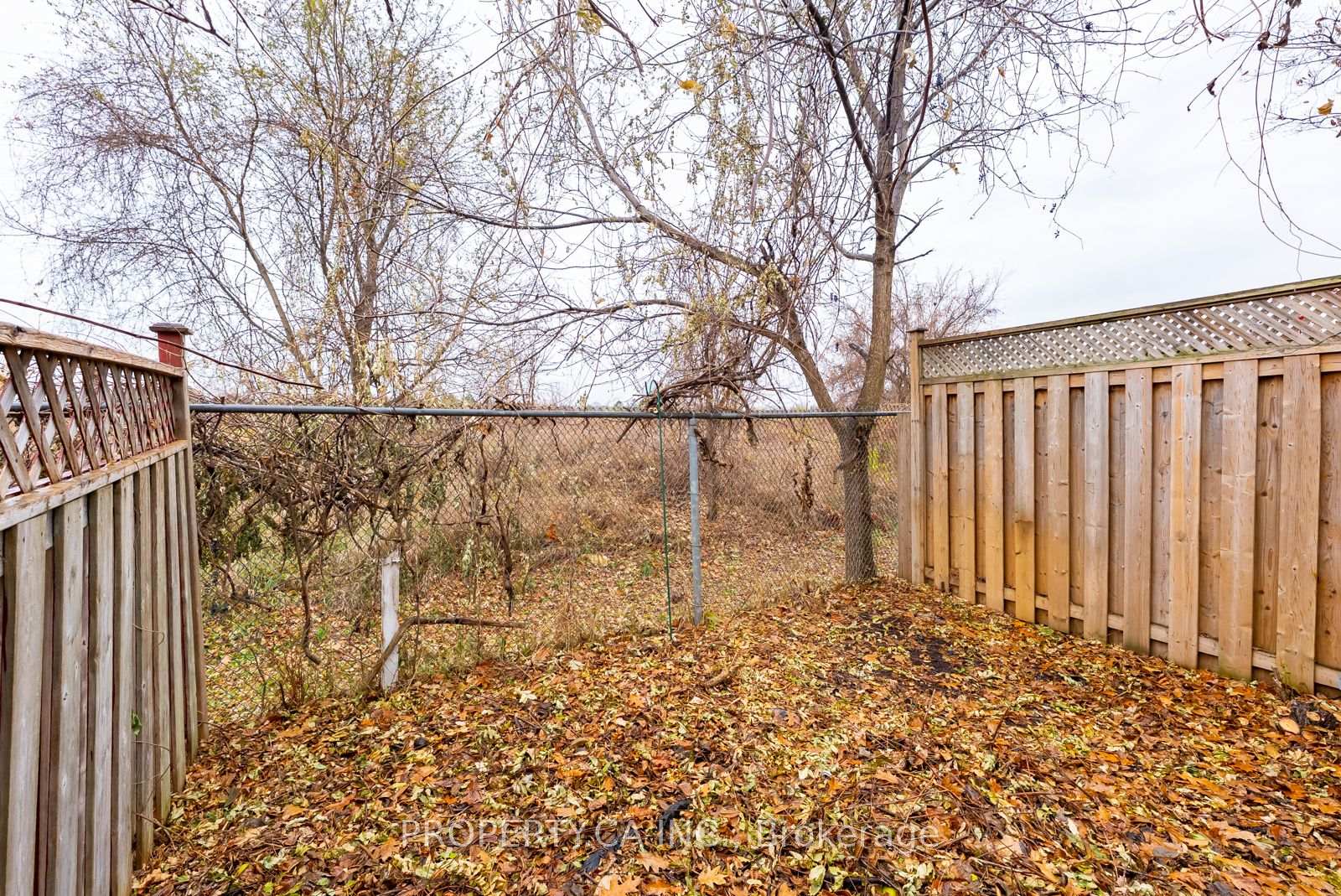 77 William Curtis Circle