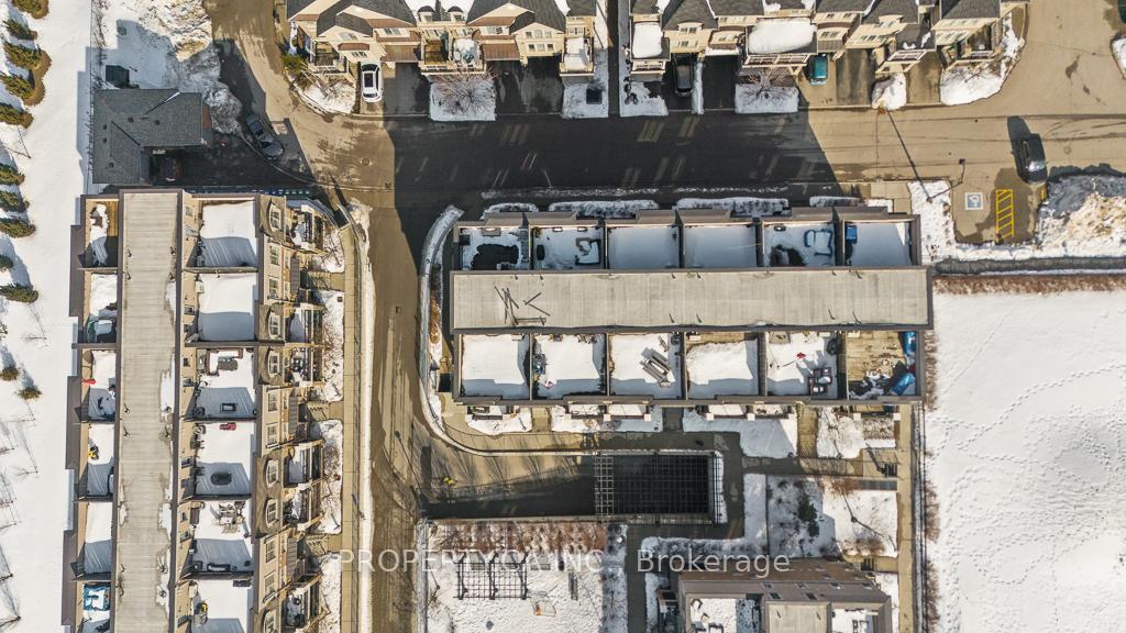 2441 Greenwich Drive 113