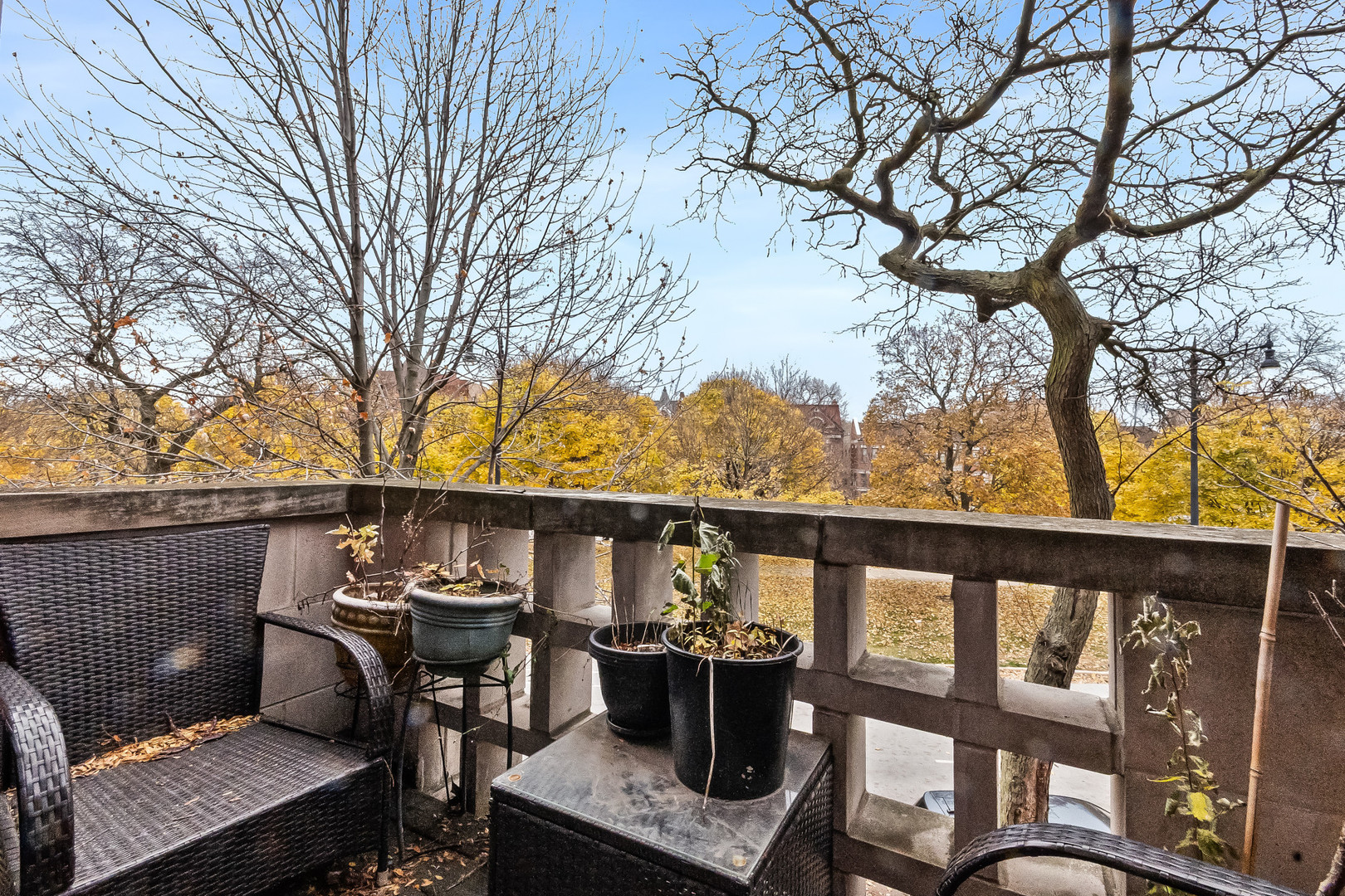 3986 S Drexel Boulevard Unit: 3N
