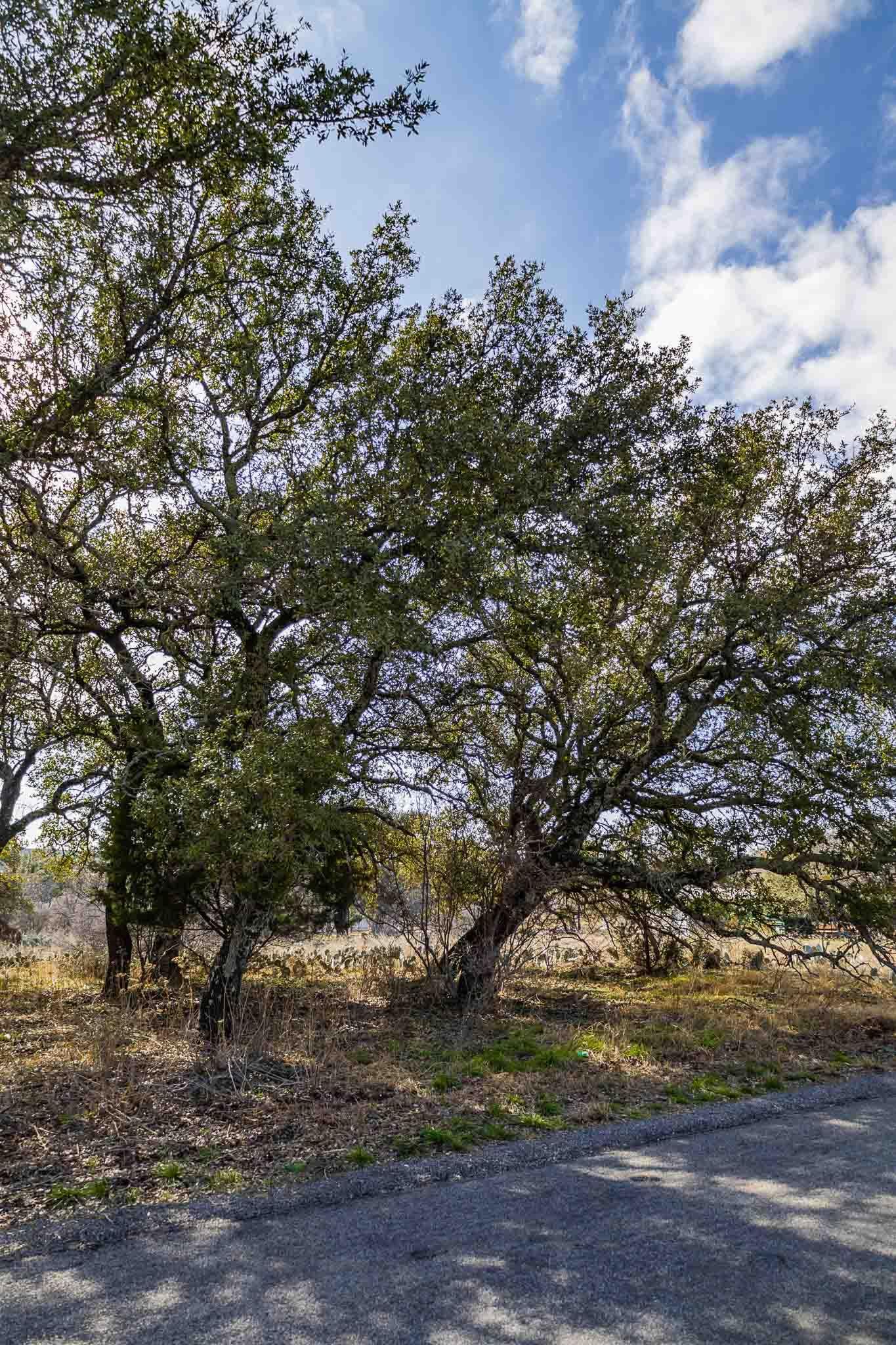 Lot 20 & 21 County Road 141 Road