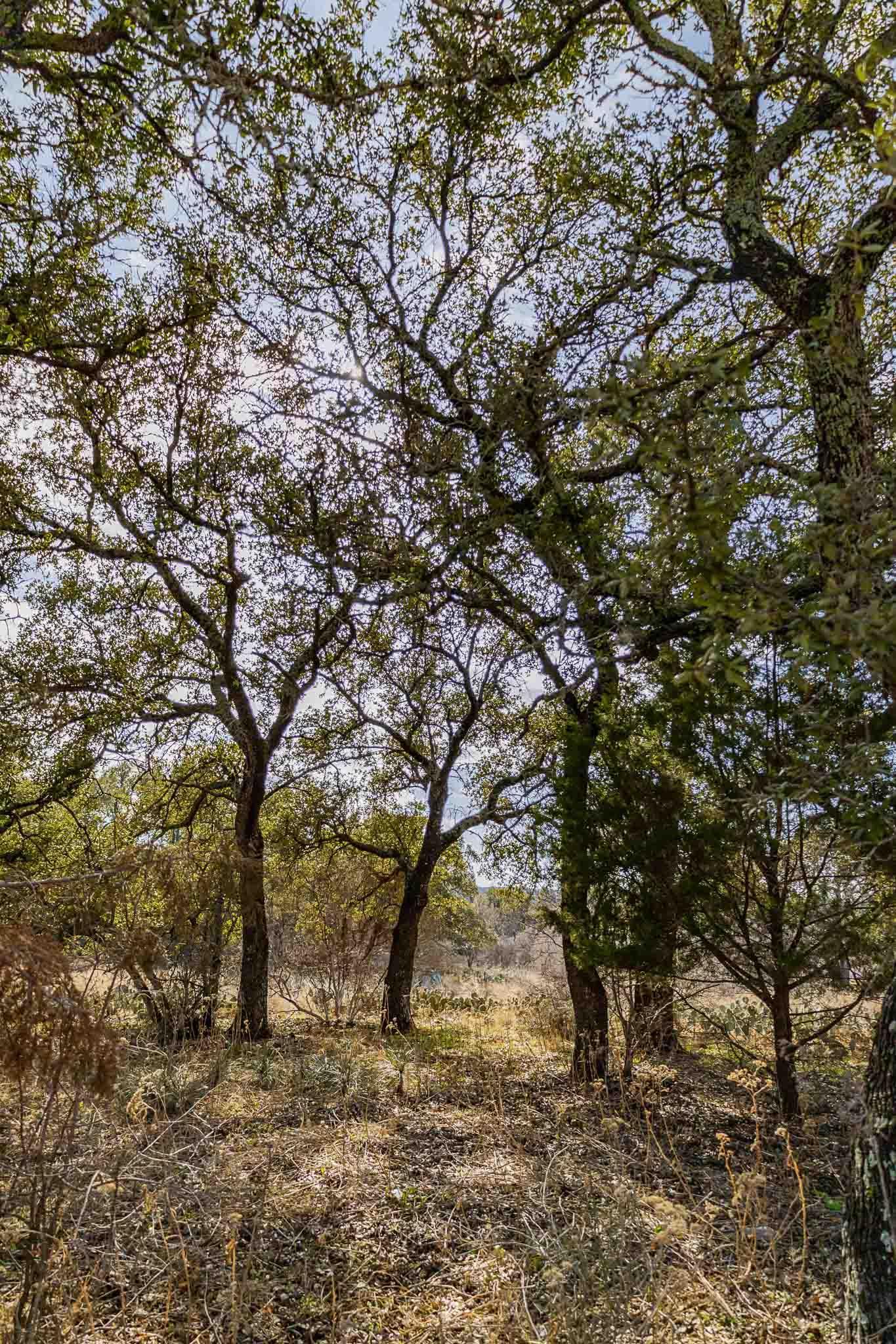 Lot 20 & 21 County Road 141 Road
