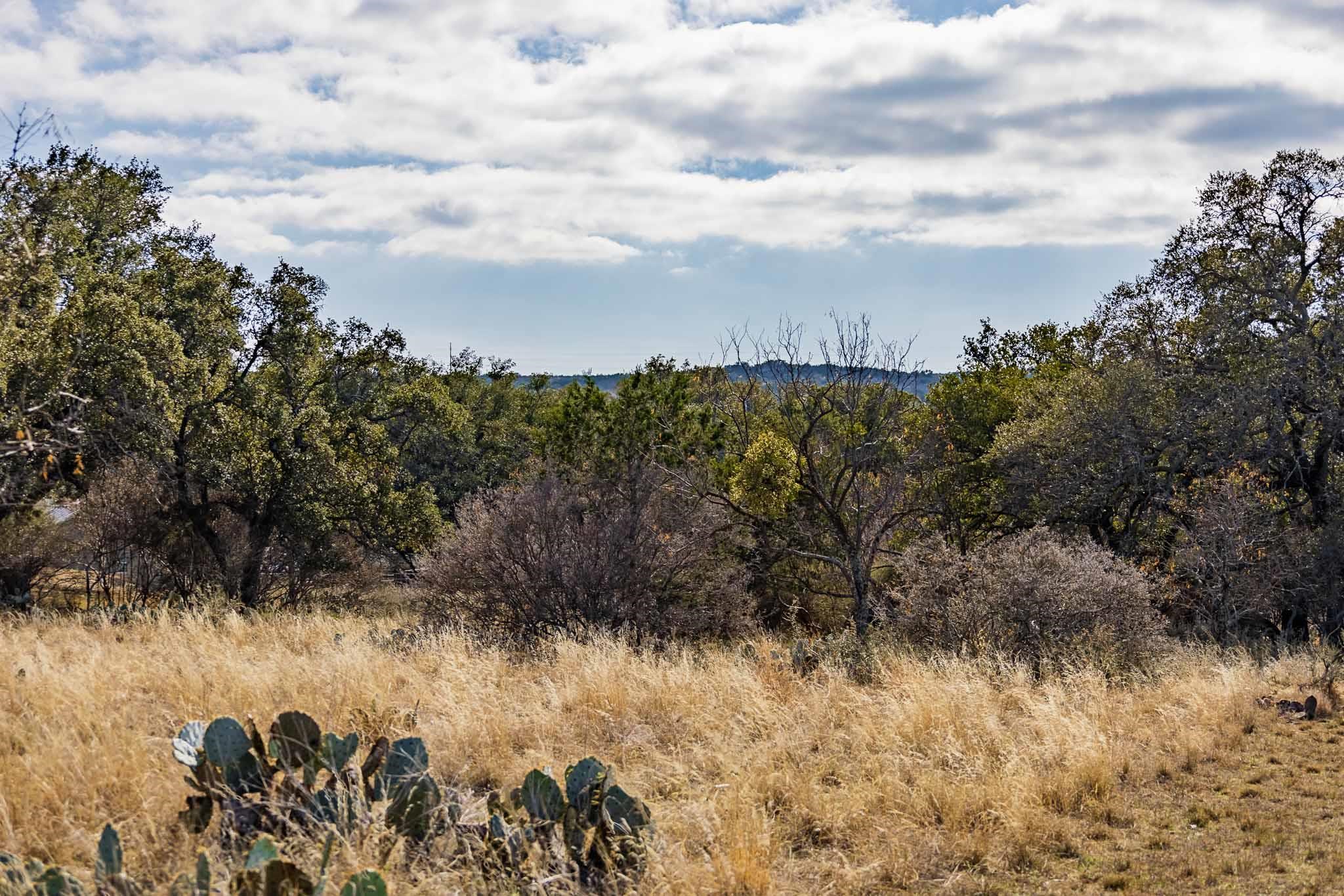 Lot 20 & 21 County Road 141 Road