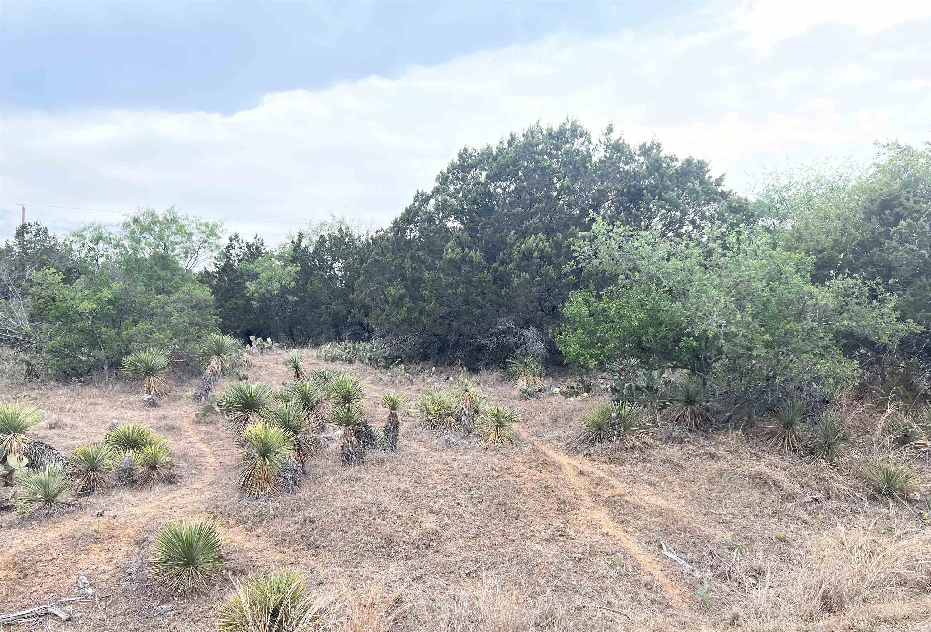 Lot 283 & 284 W Briarway Drive