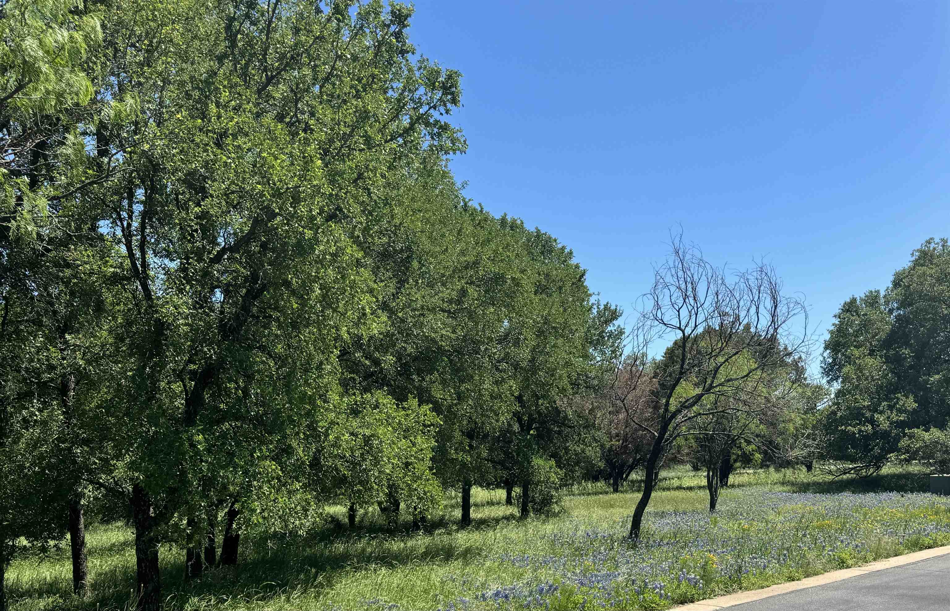 Lot W6043 Fault Line Drive