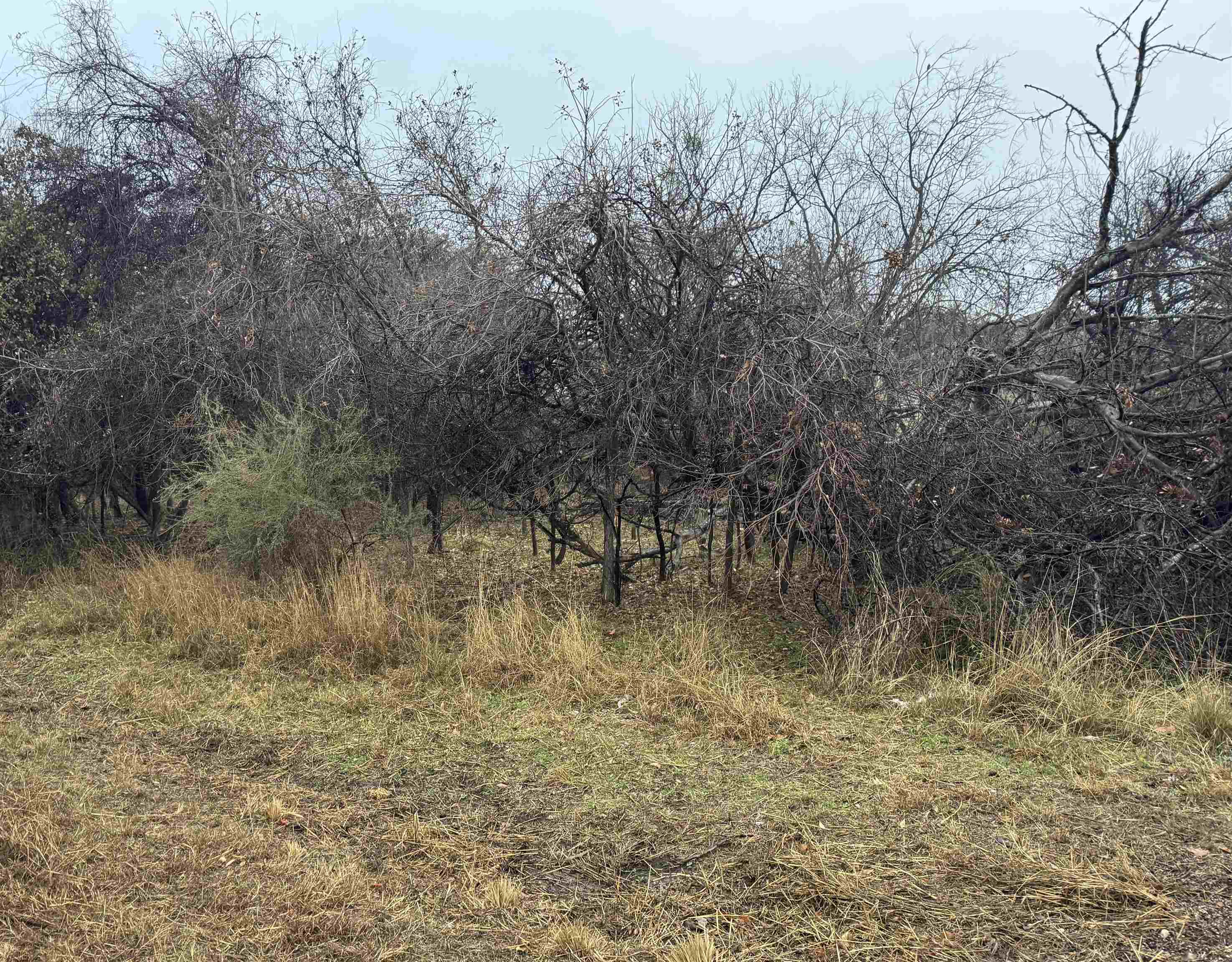 Lot 214 215 216 Northcrest Drive