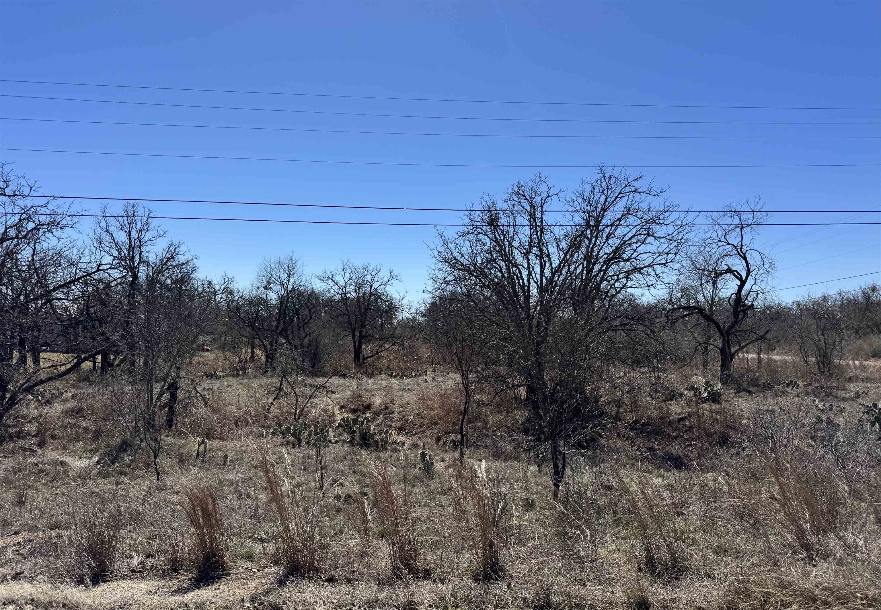 Lot 146 Woodlawn Drive