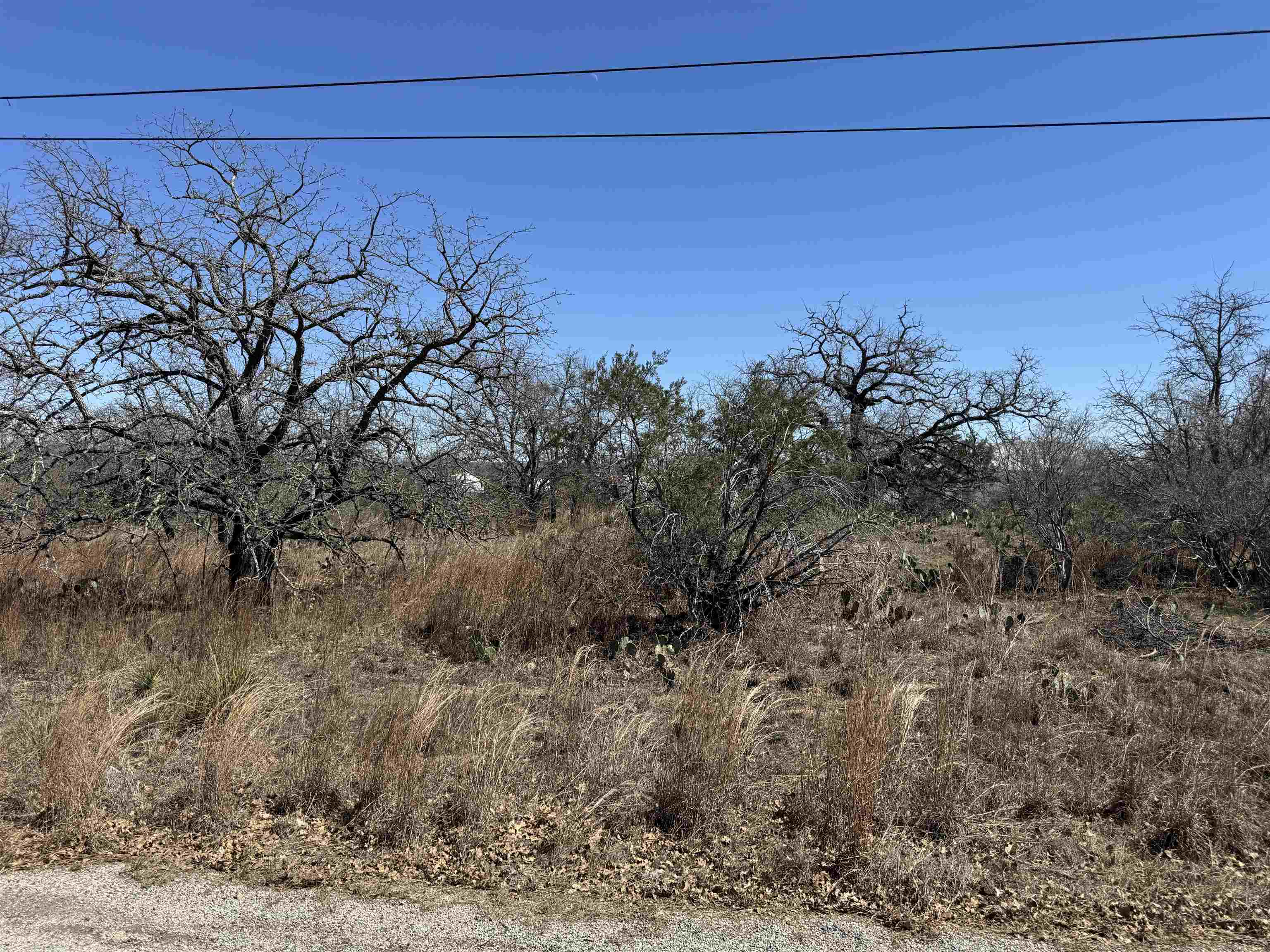 Lot 149 Woodlawn Drive