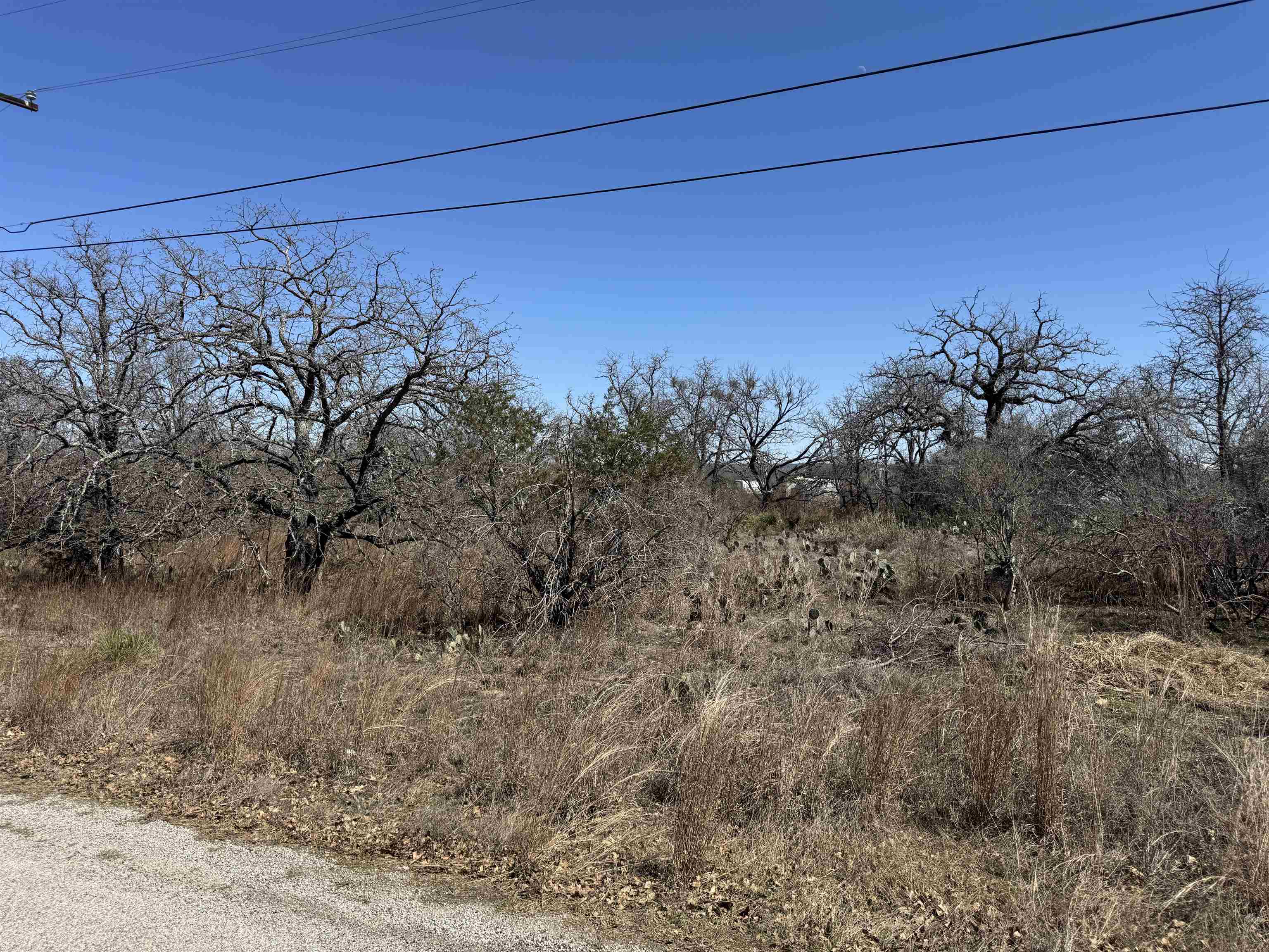 Lot 149 Woodlawn Drive