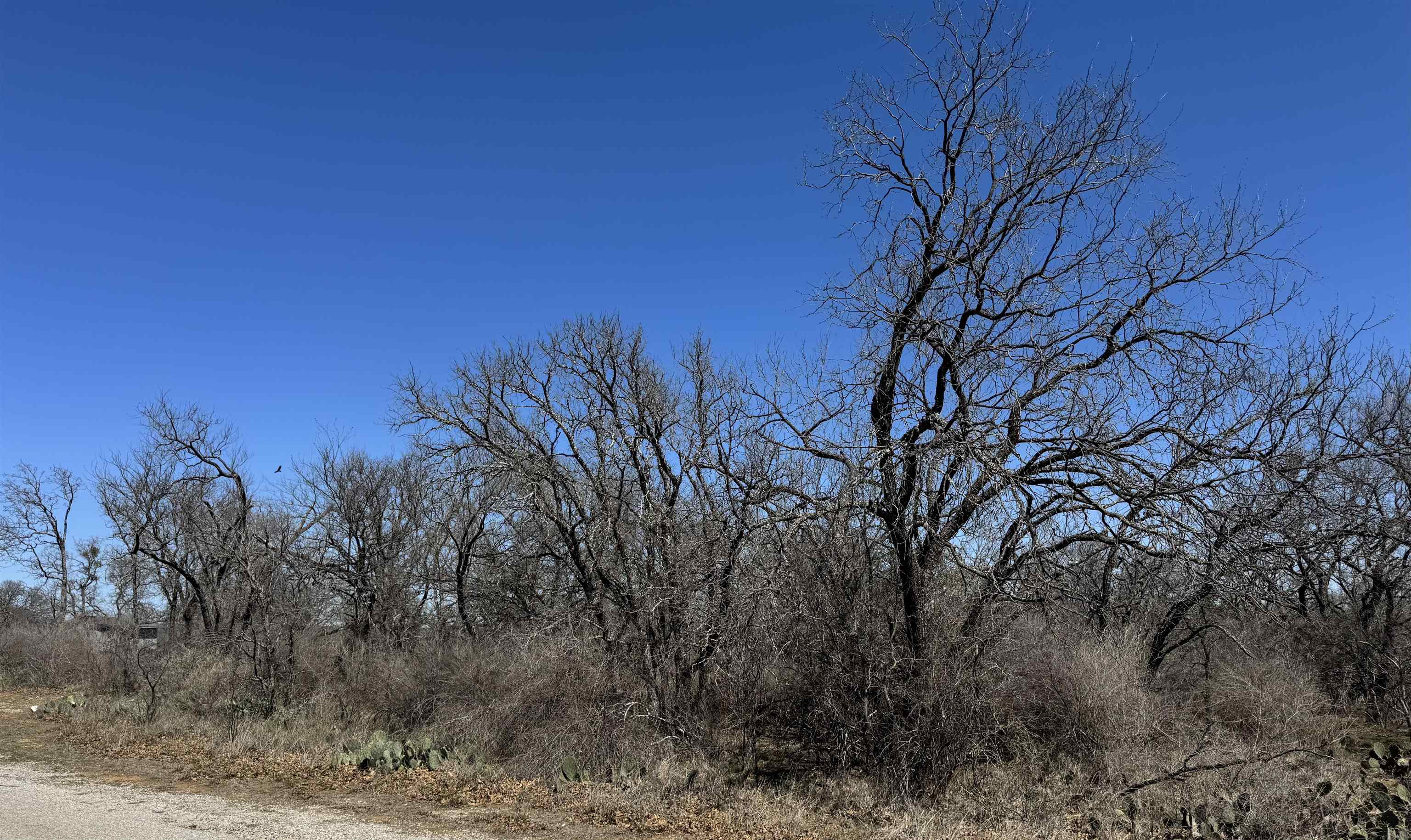Lot 218 Western Drive