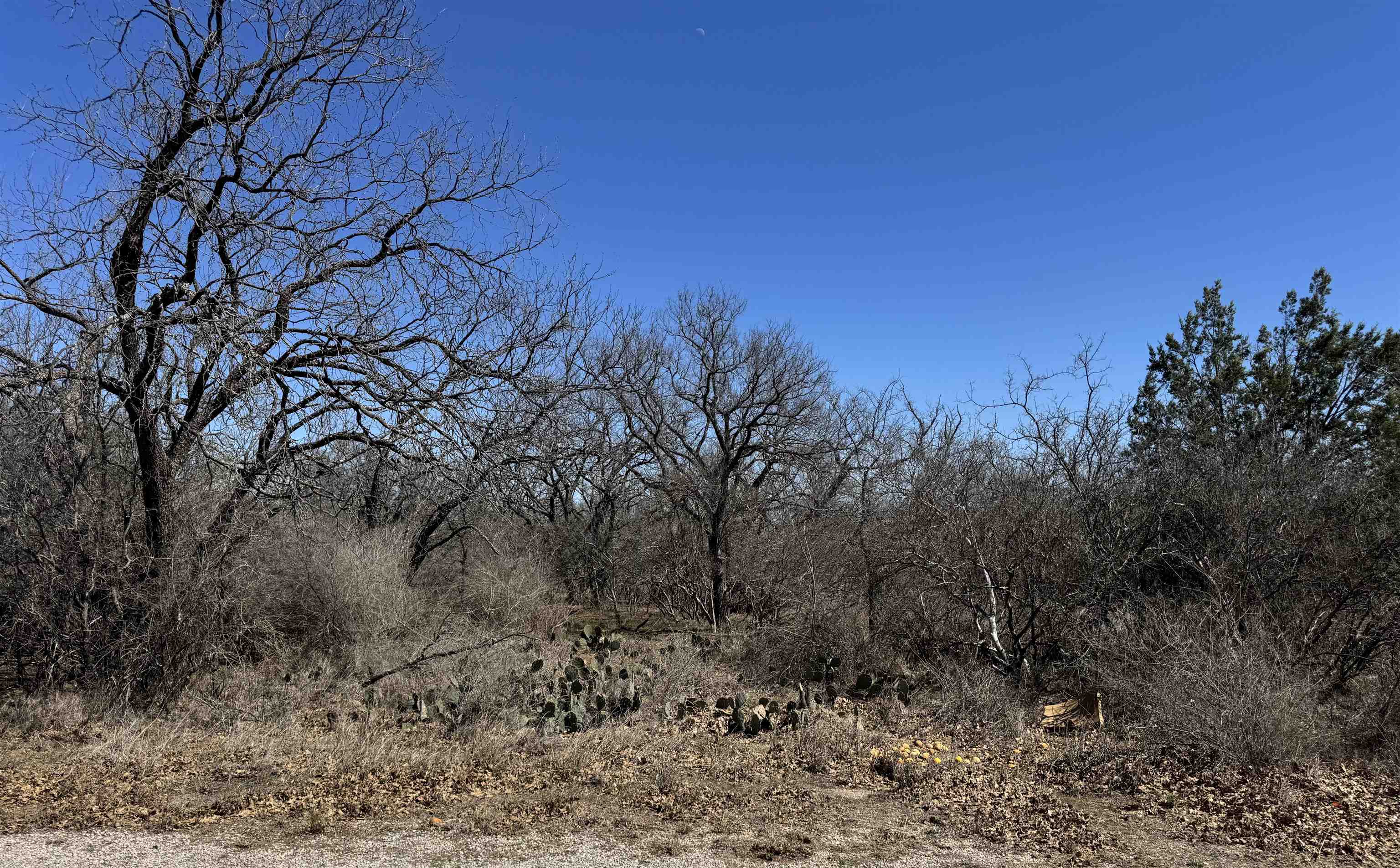 Lot 218 Western Drive