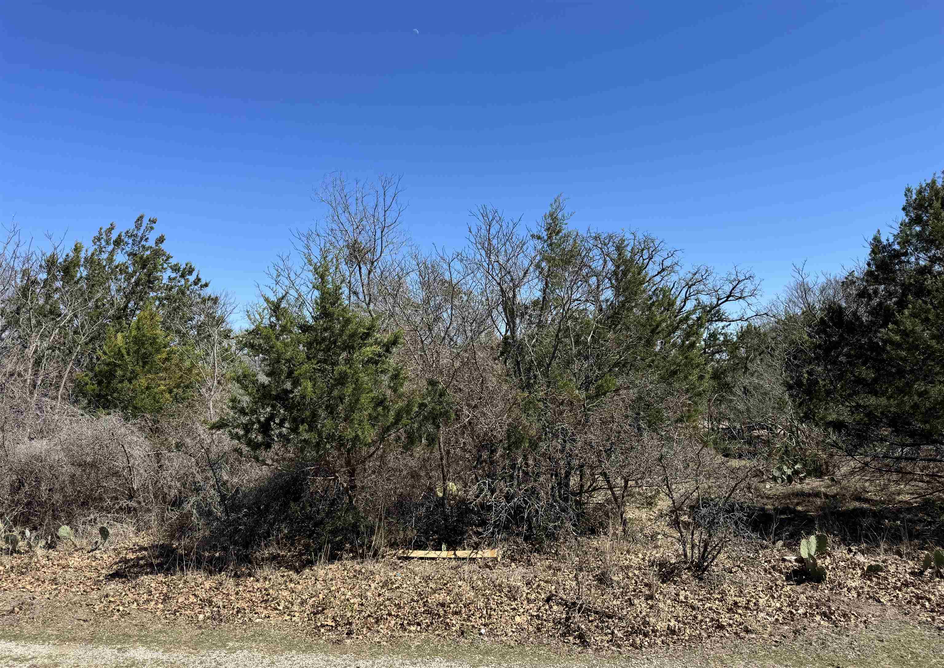 Lot 218 Western Drive