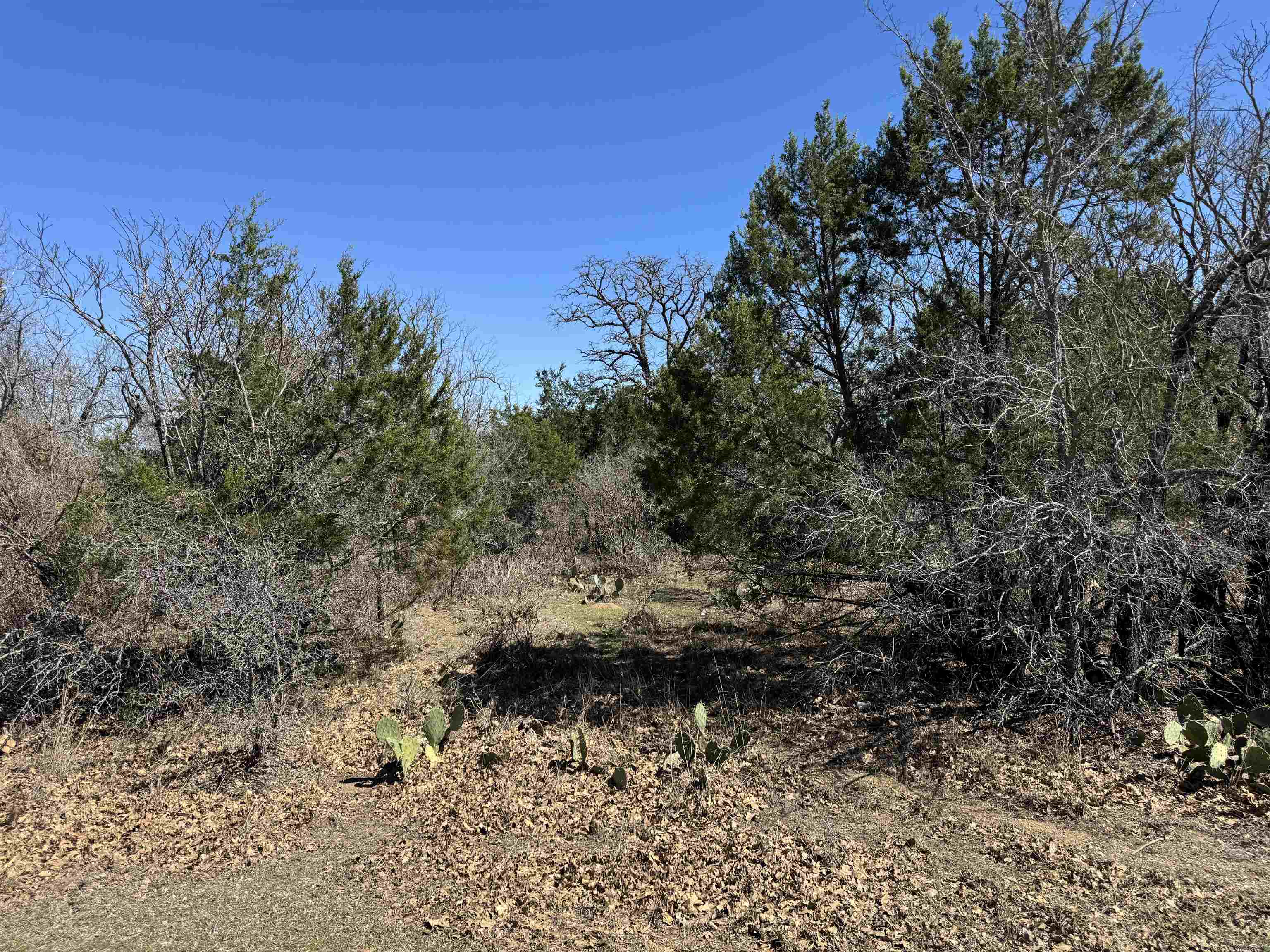 Lot 218 Western Drive