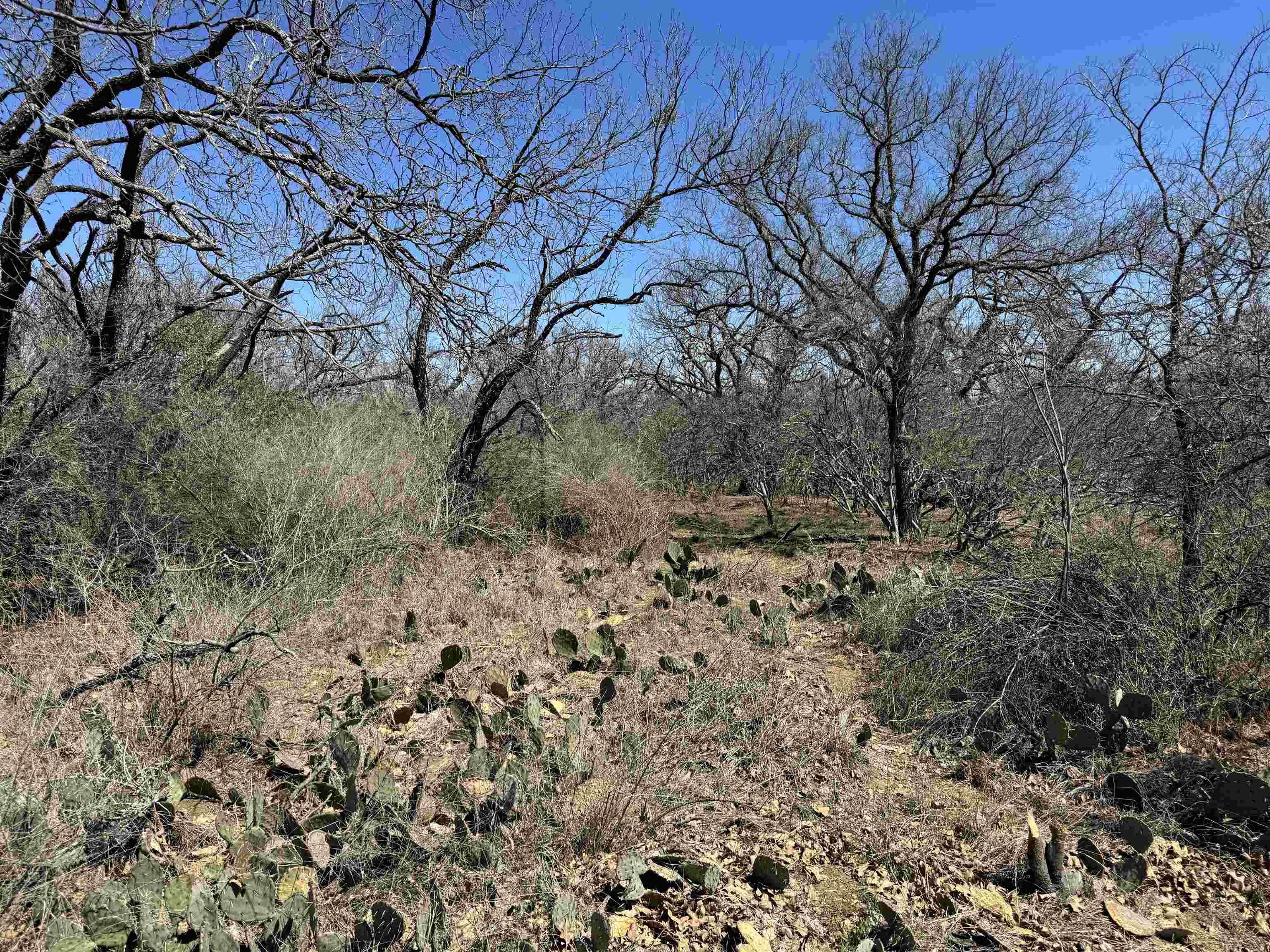 Lot 218 Western Drive