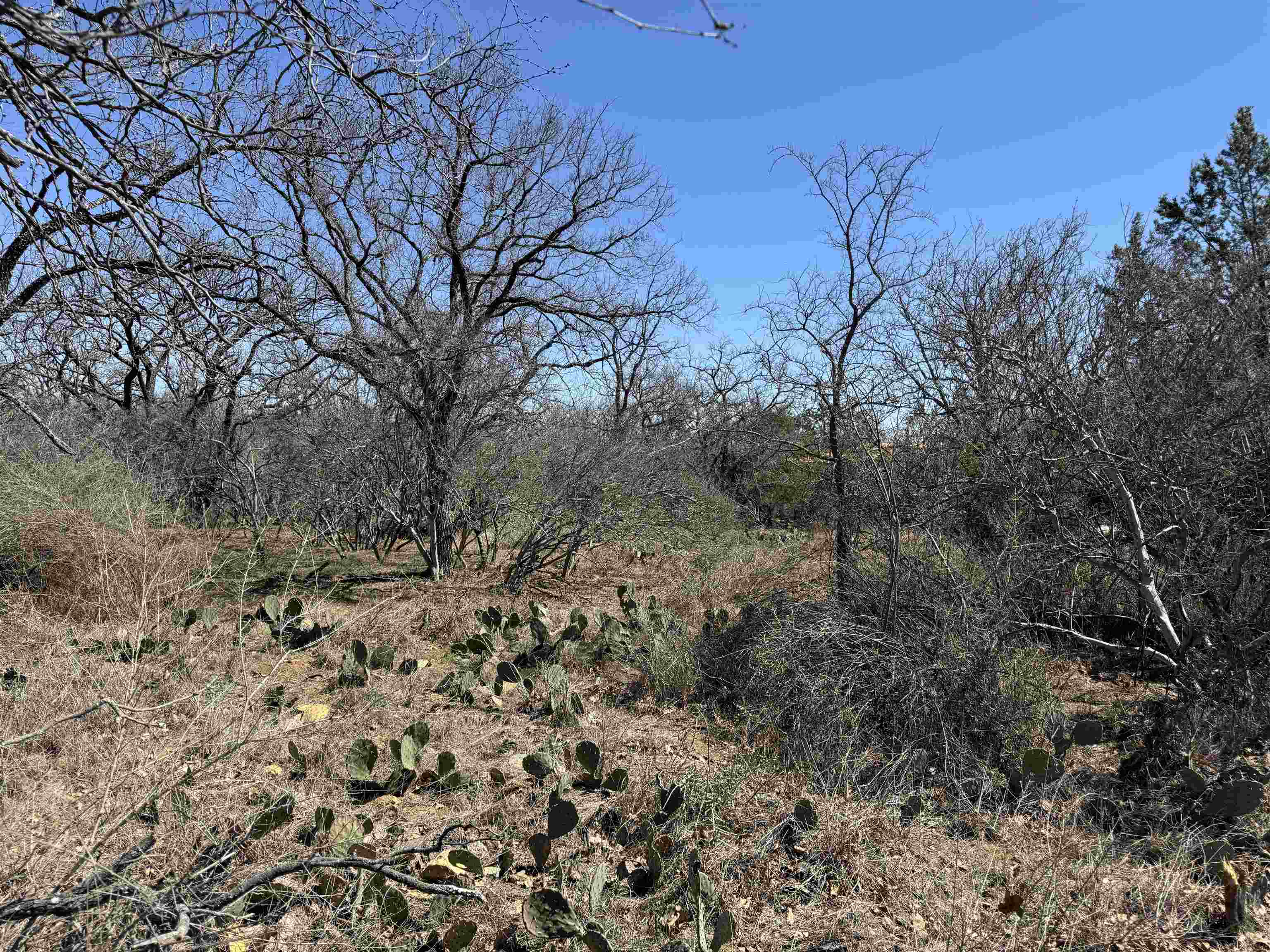 Lot 218 Western Drive