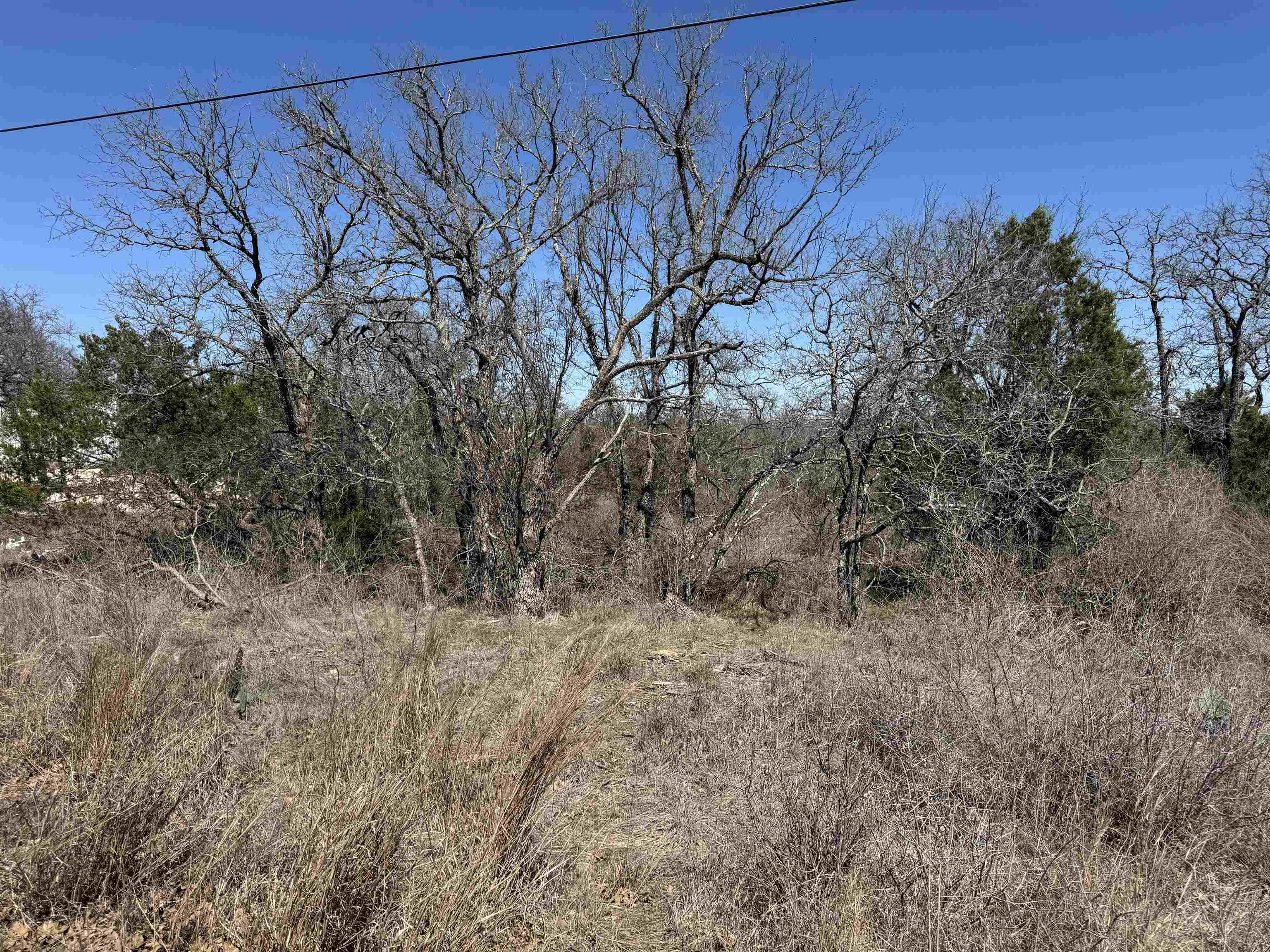 Lot 179 Longmont Drive