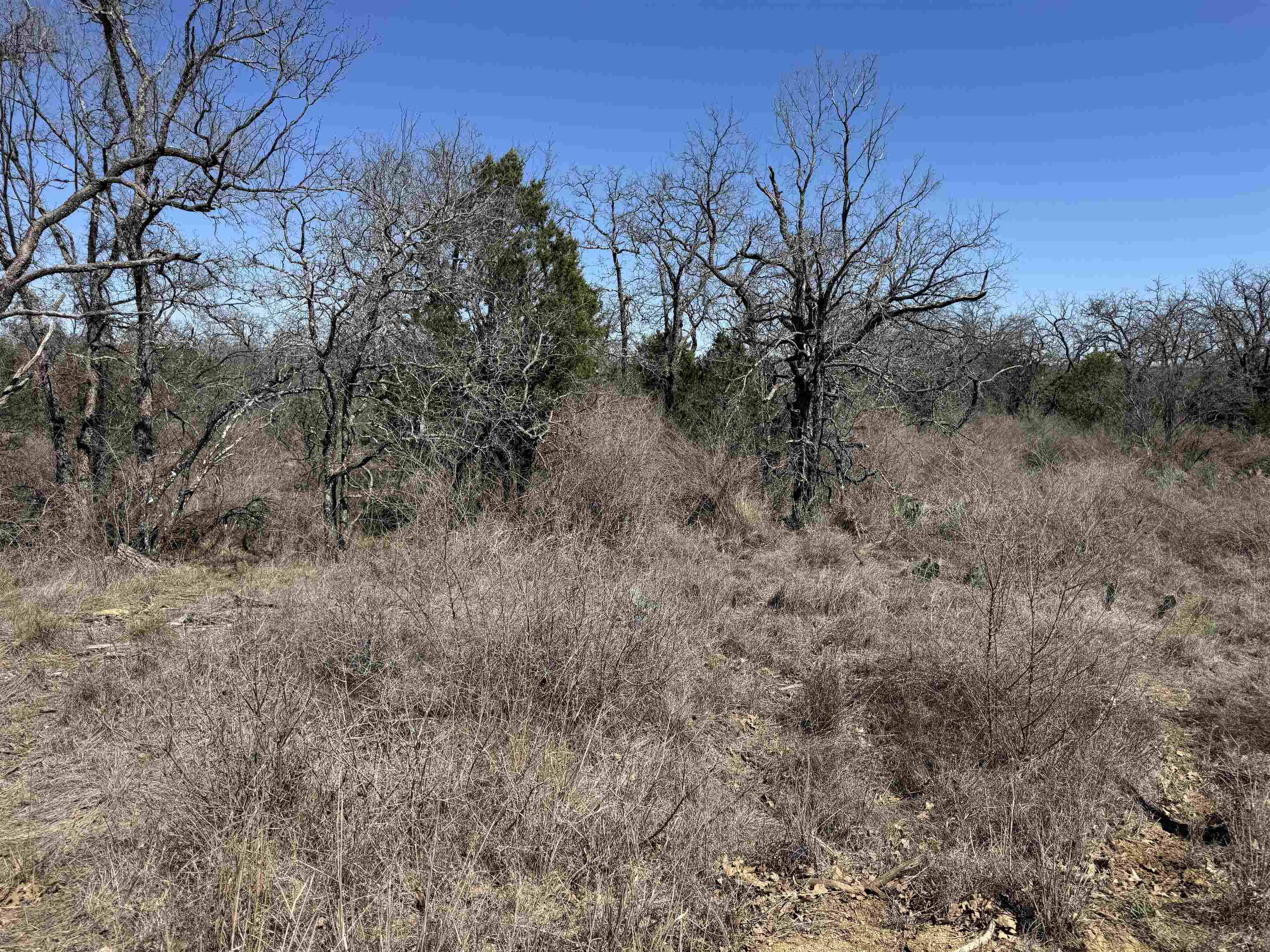 Lot 179 Longmont Drive