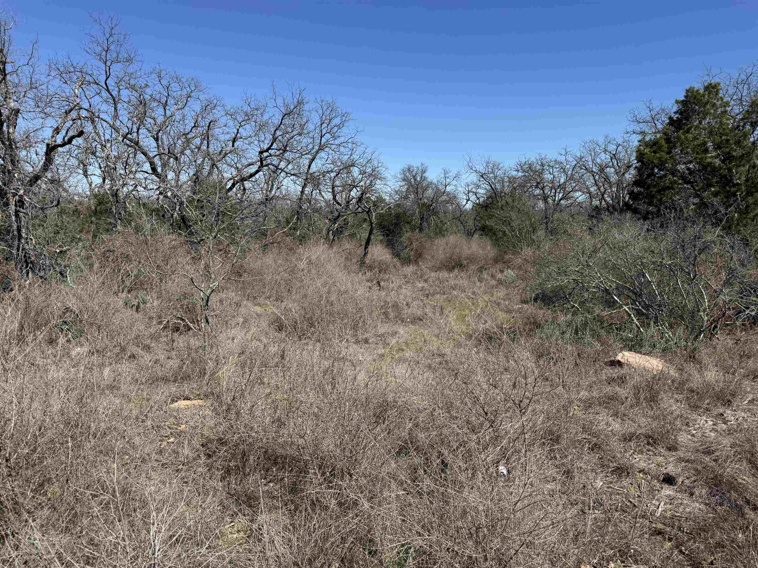 Lot 180 Longmont Drive