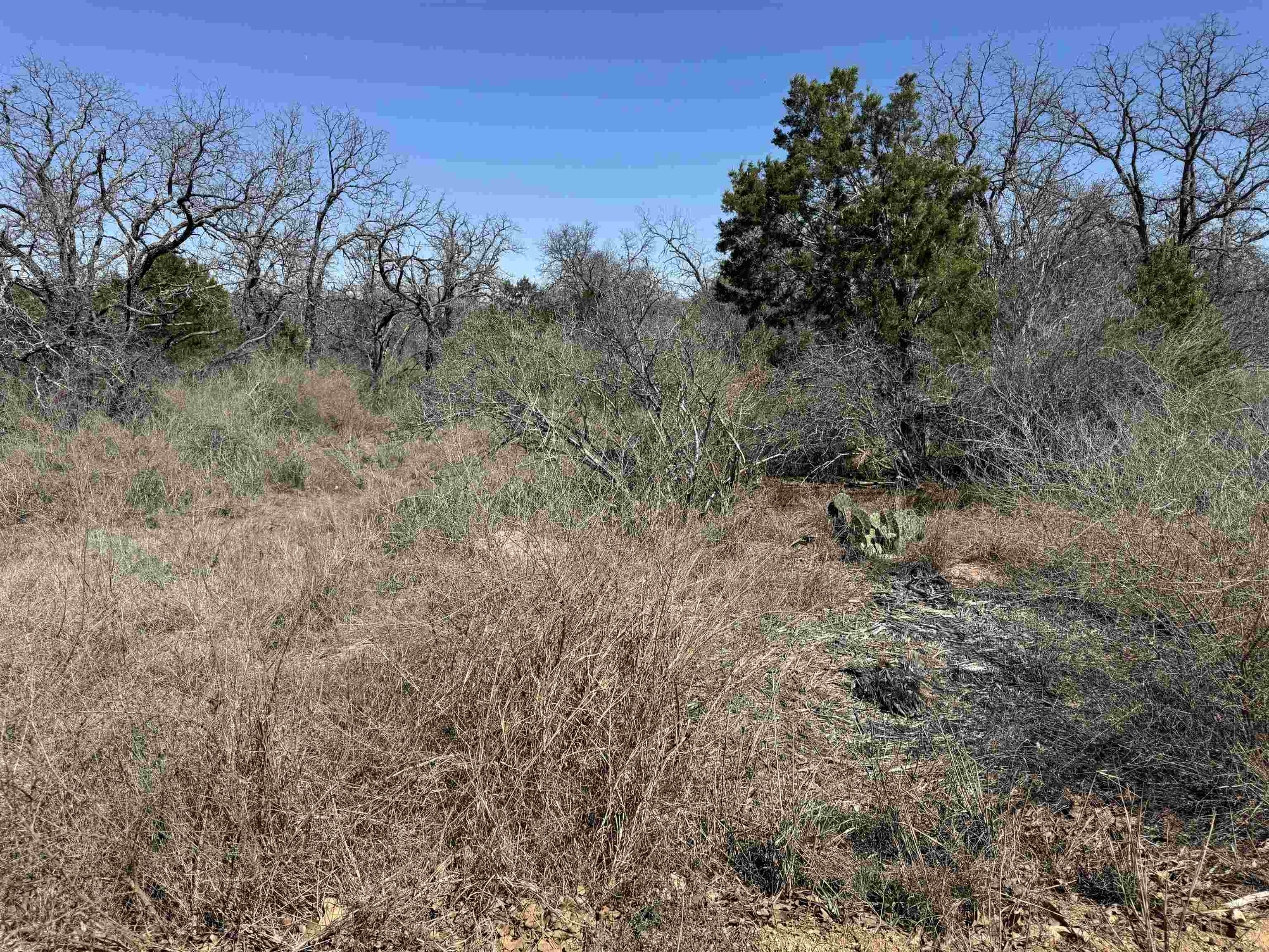 Lot 180 Longmont Drive