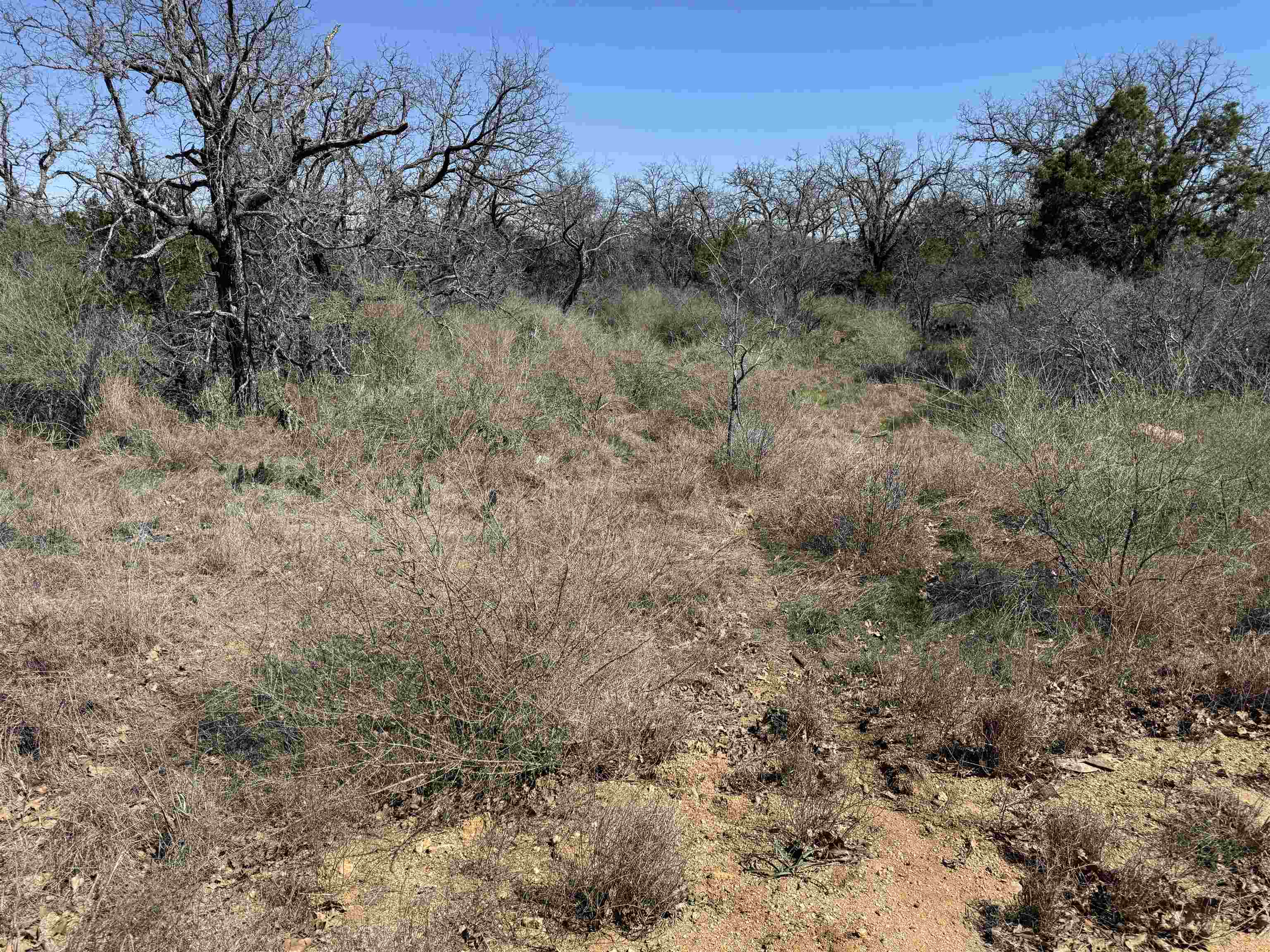 Lot 180 Longmont Drive