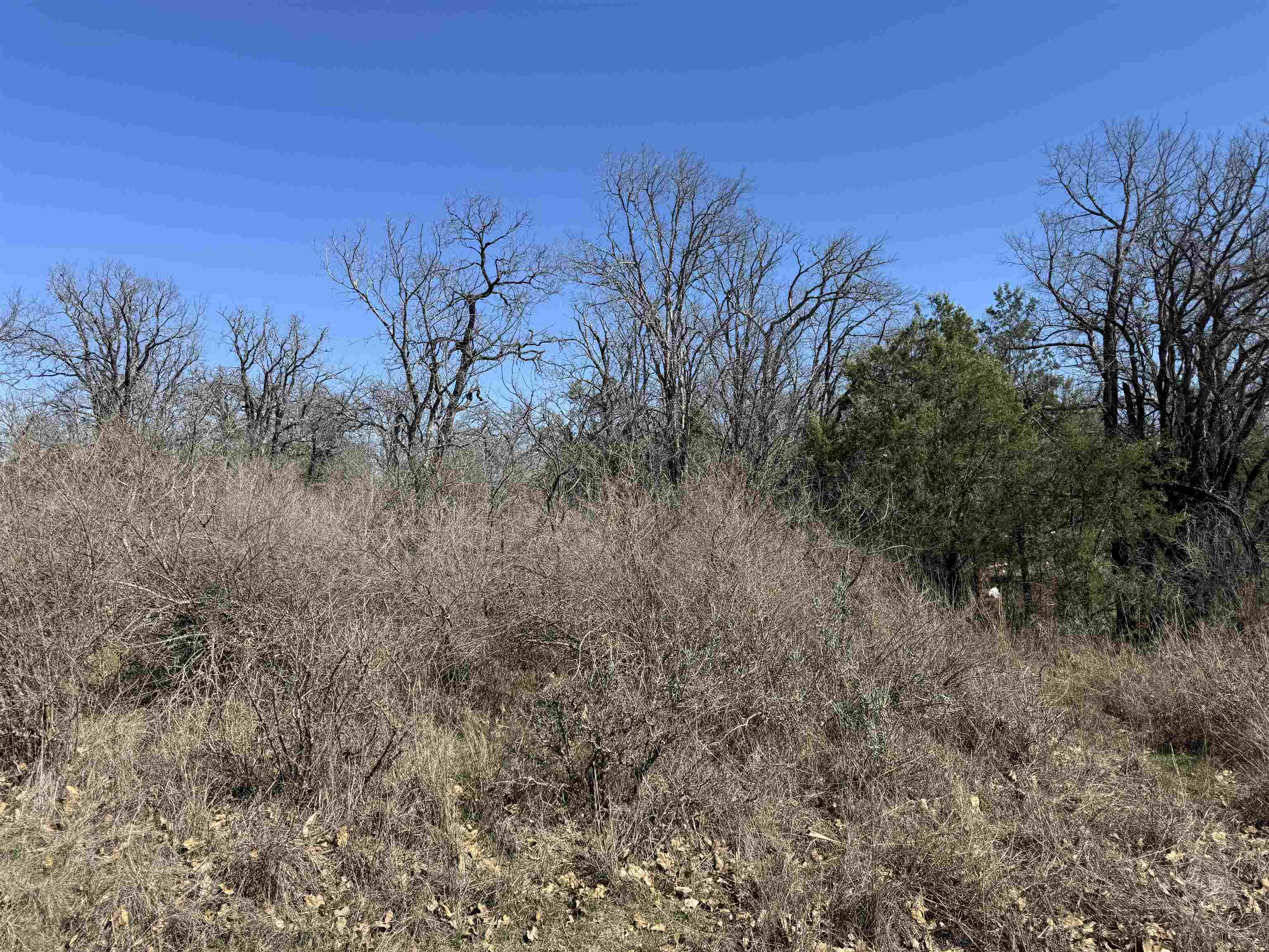 Lot 115 Ridgemont Drive