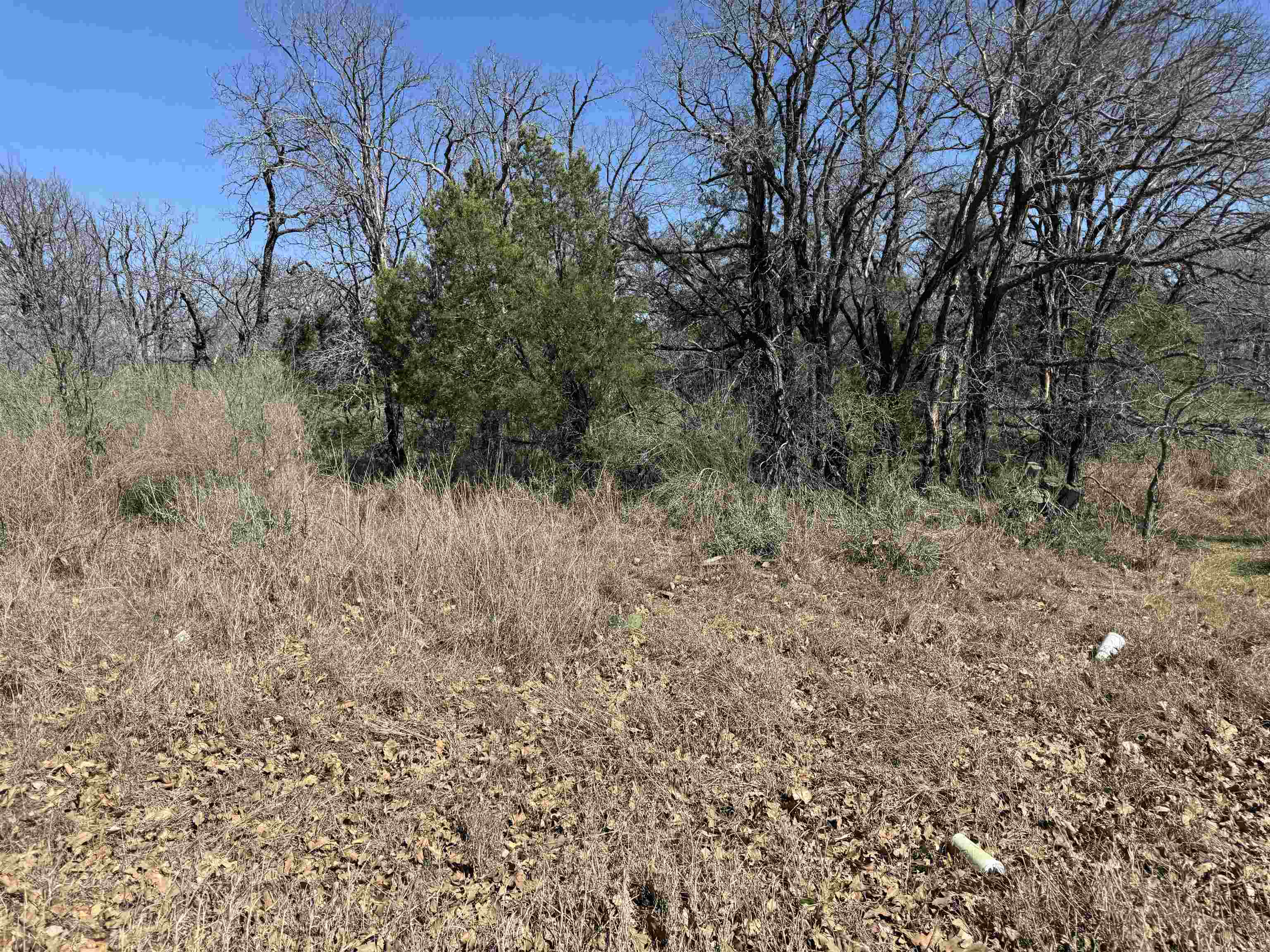 Lot 115 Ridgemont Drive