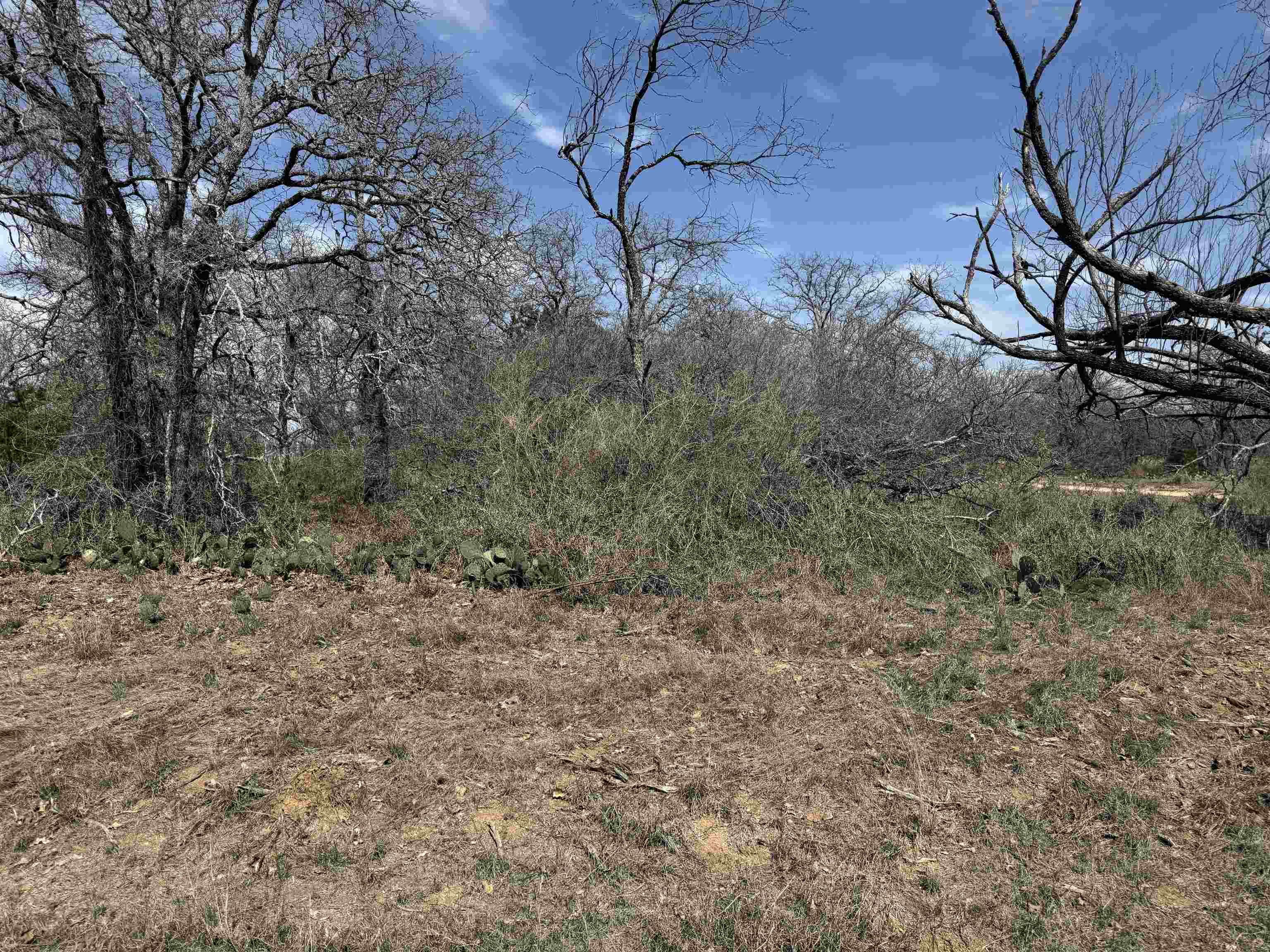 Lot 79 Ridgemont Drive