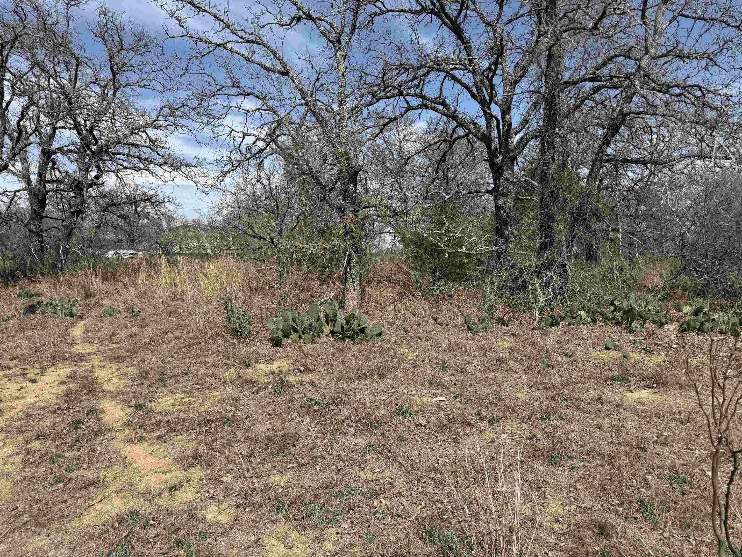 Lot 79 Ridgemont Drive