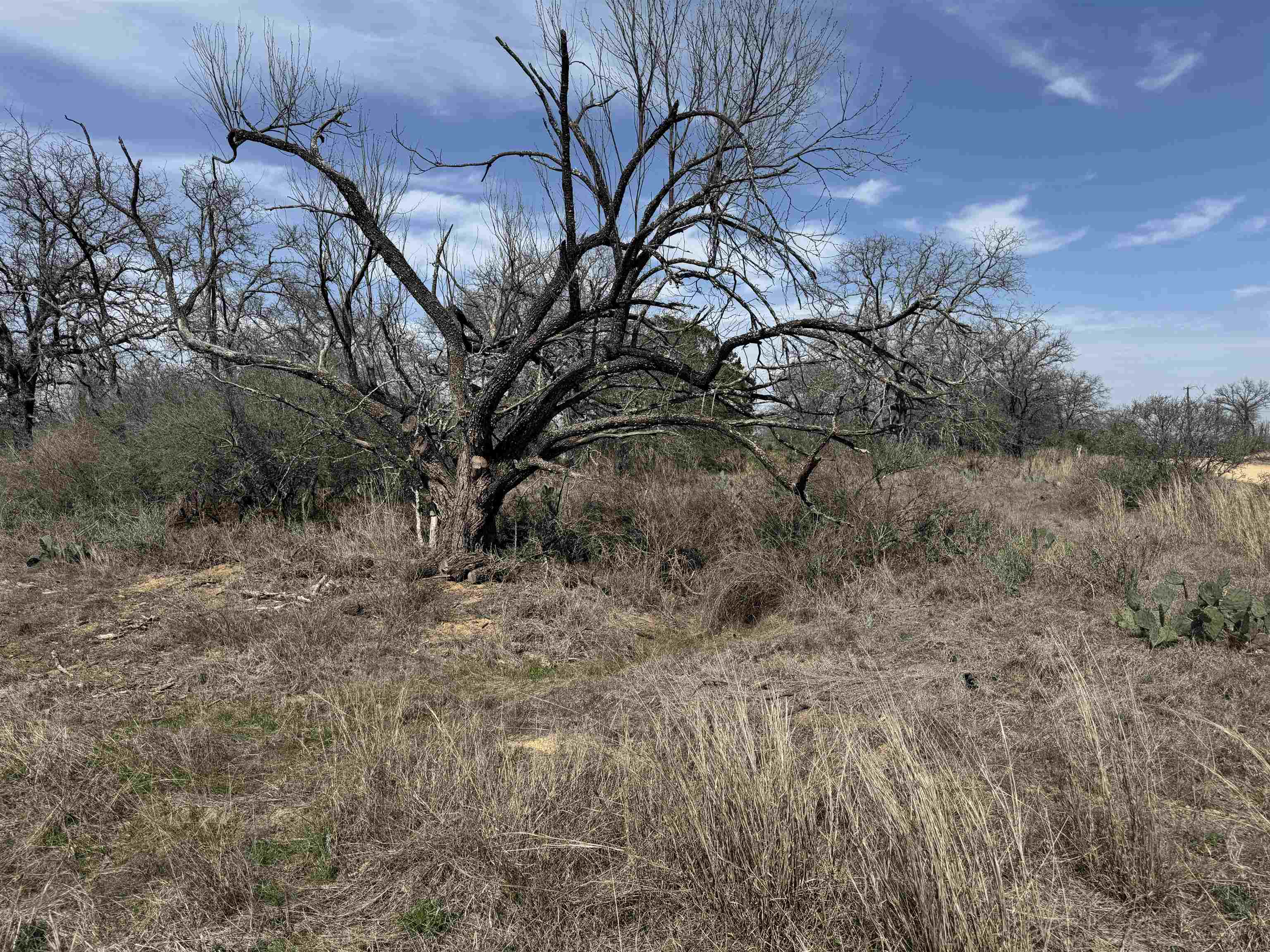 Lot 79 Ridgemont Drive