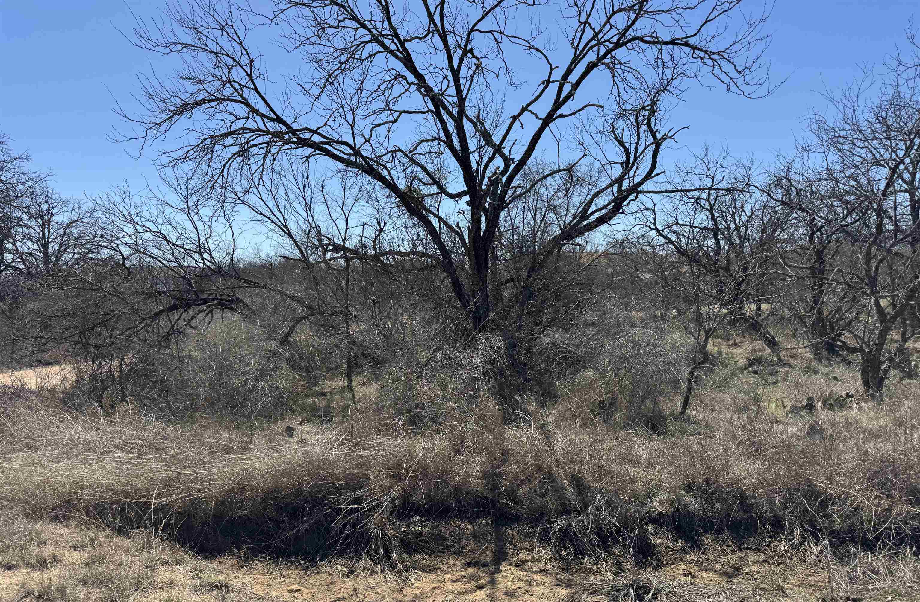 Lot 102 Ridgemont Drive