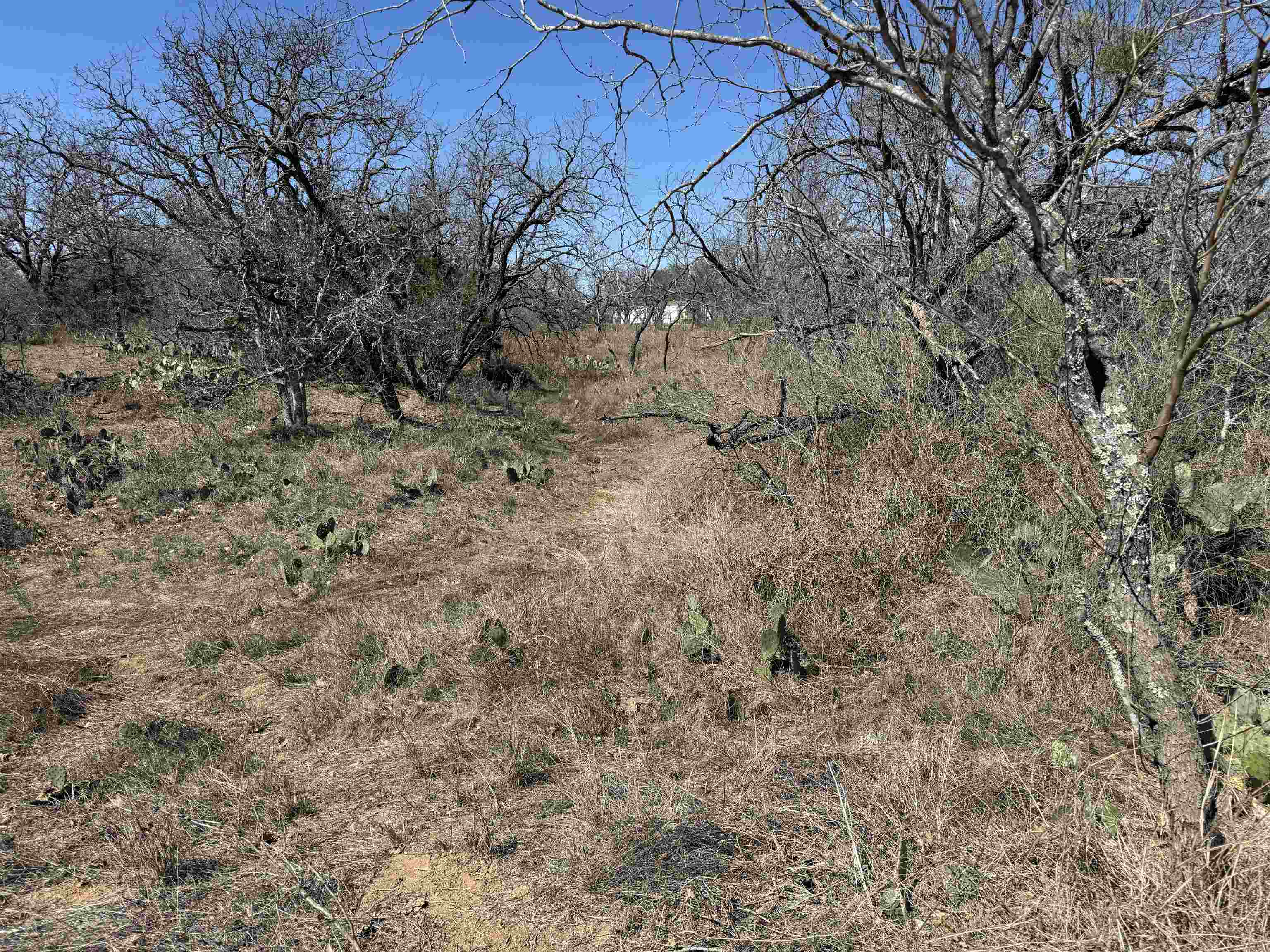 Lot 102 Ridgemont Drive