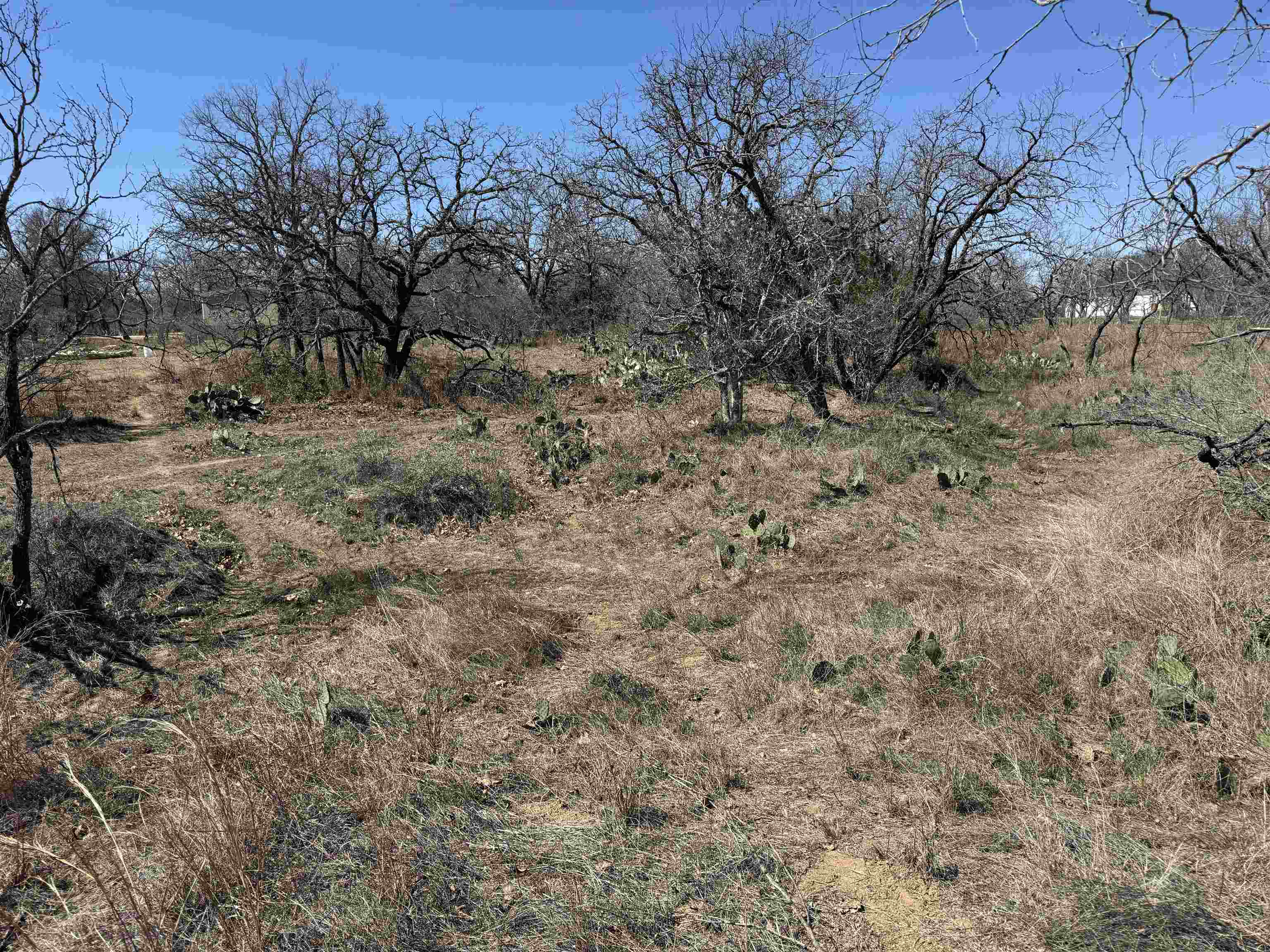 Lot 102 Ridgemont Drive